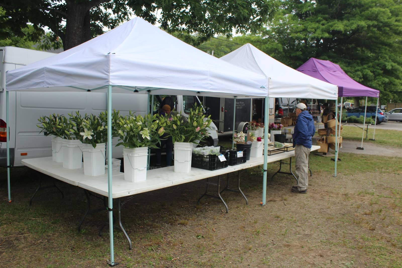 Viral Food Adventures