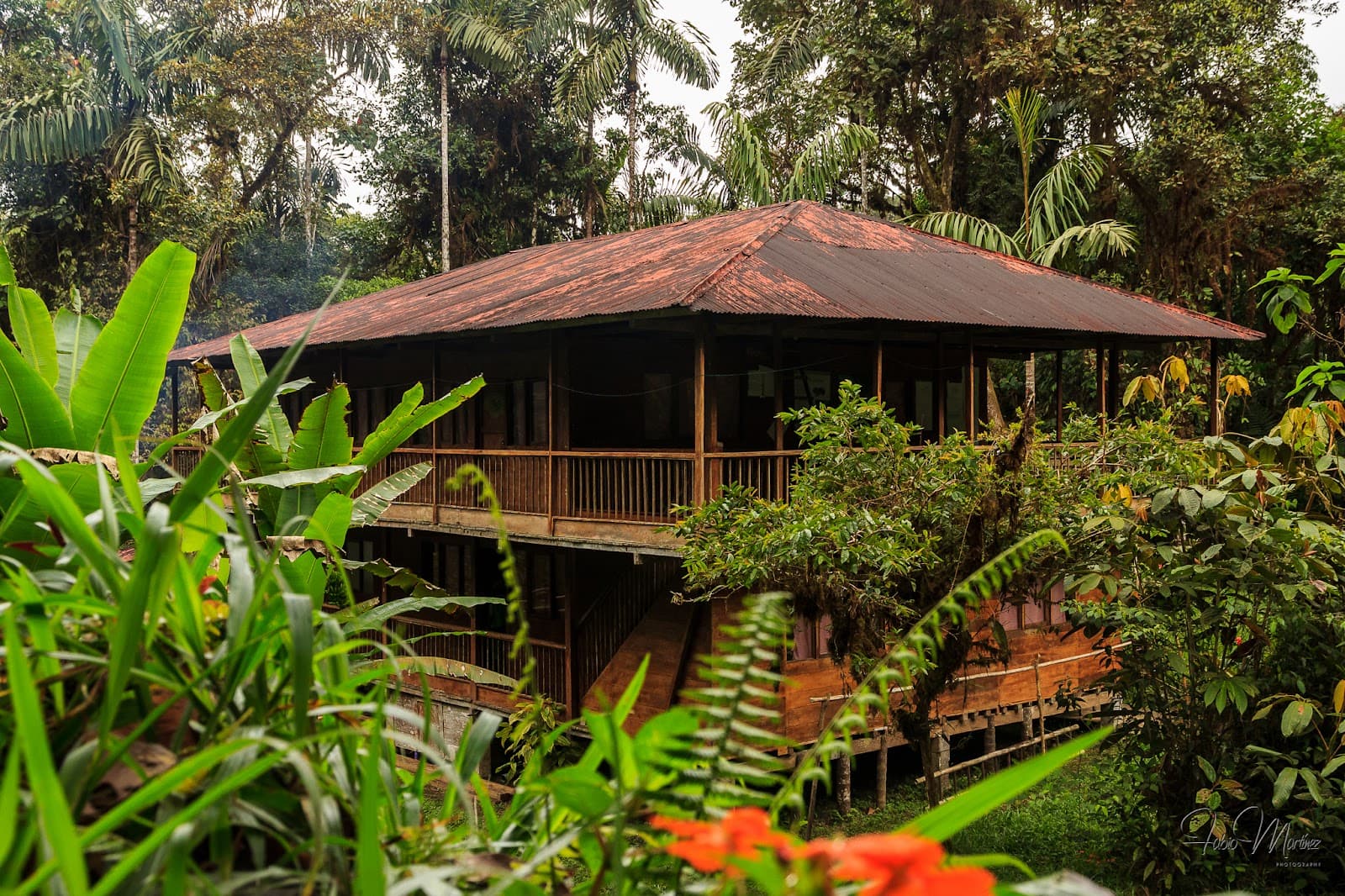 Río Ñambí Nature Reserve - Image 1