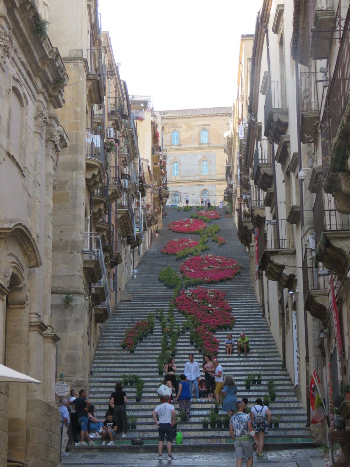 Illuminated Night Spectacle