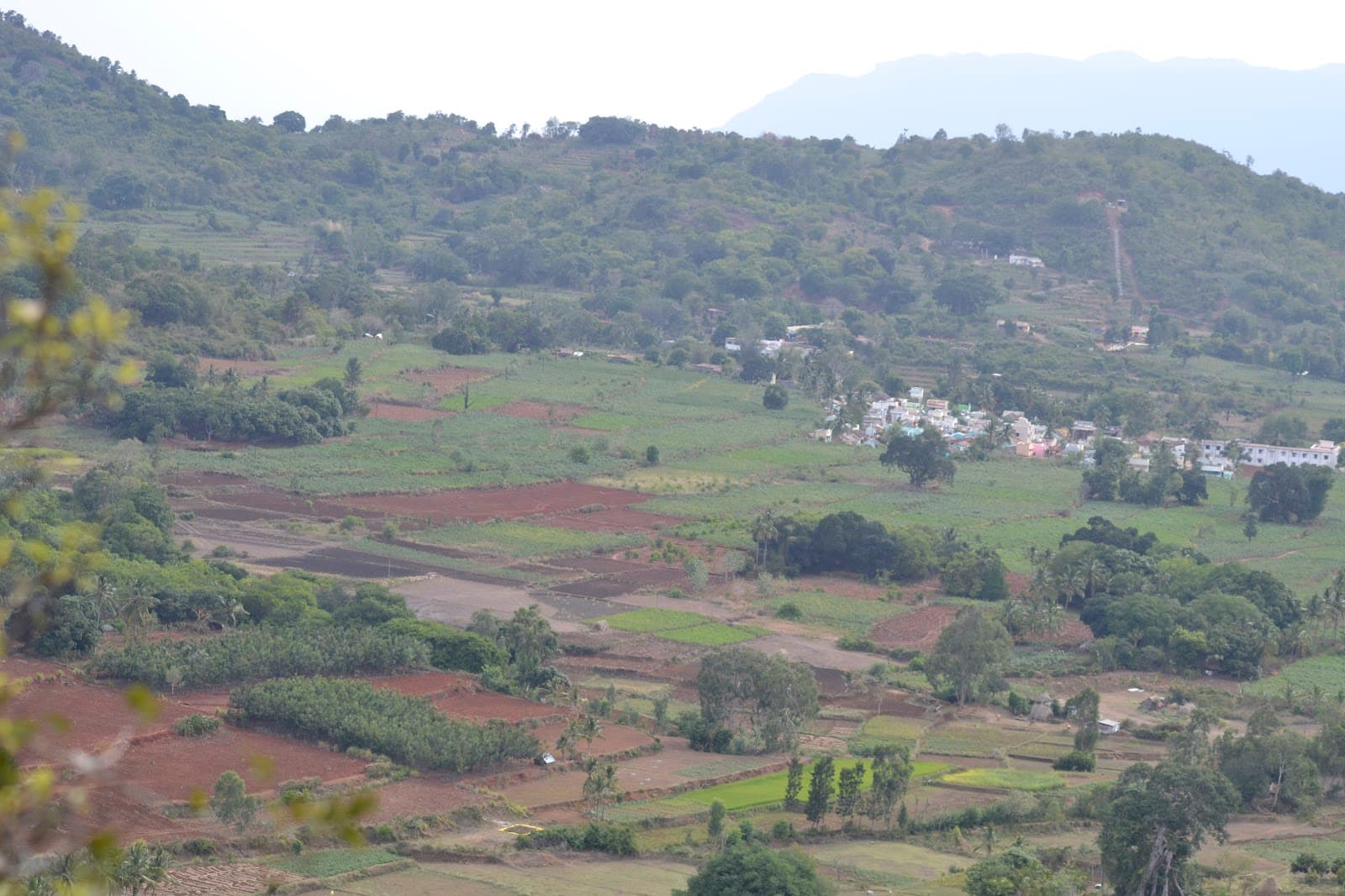Pachamalai Hills - Image 1