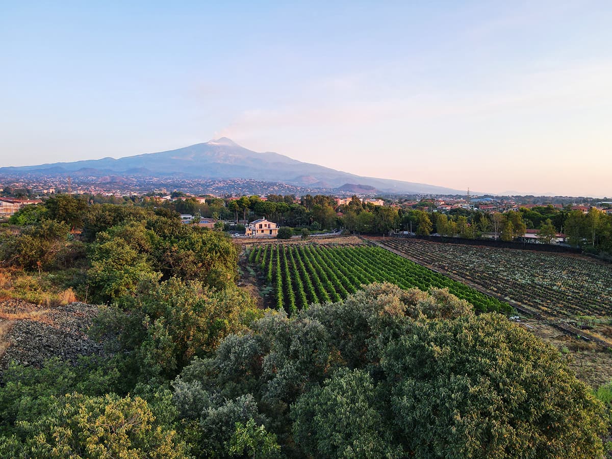 Etna Wine Route (north slope) - Image 1