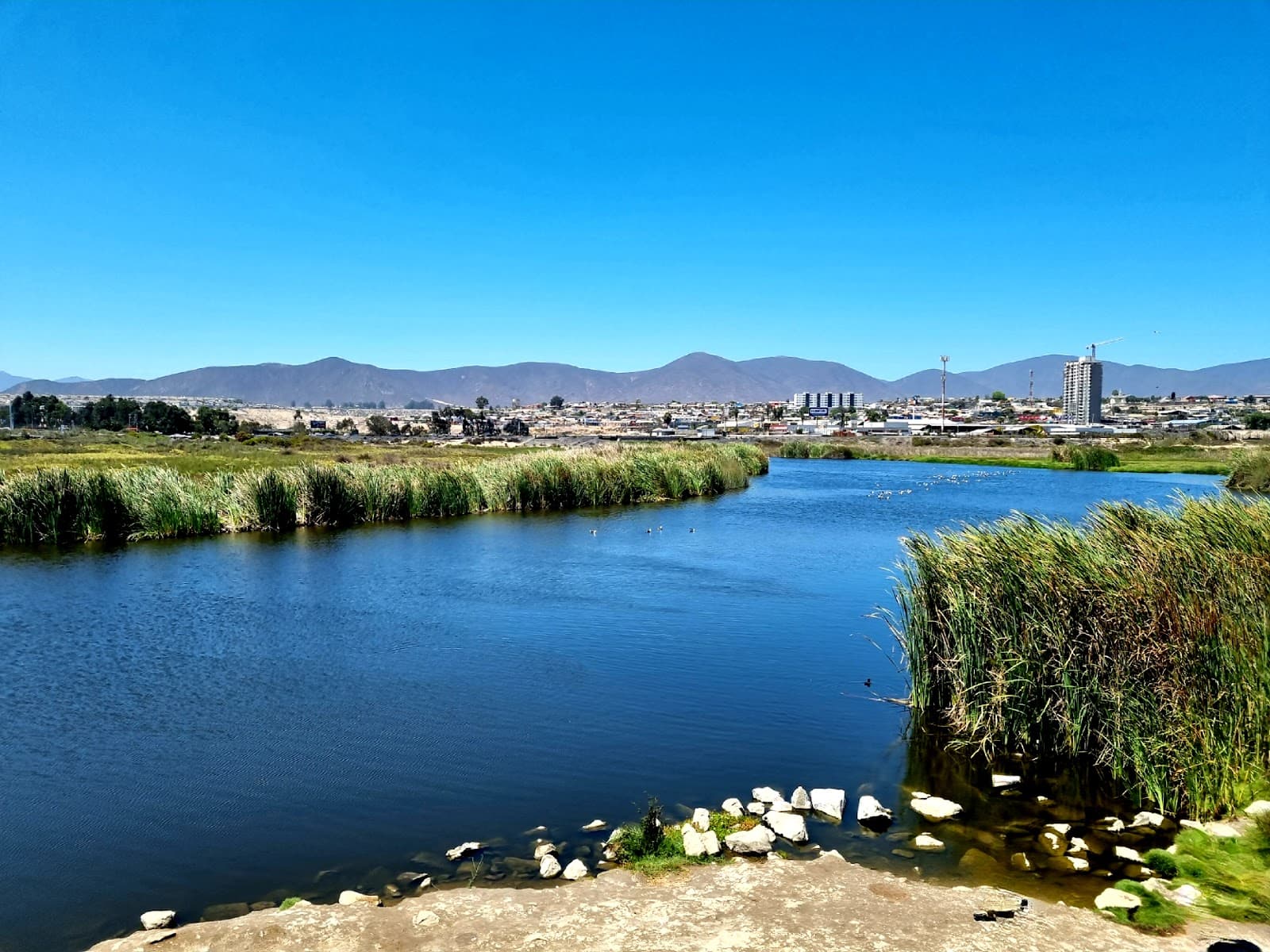 El Culebrón Wetland - Image 1