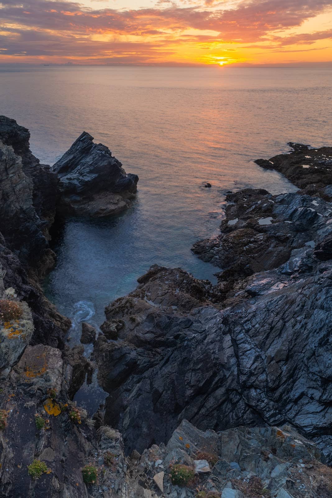 Vertical photo