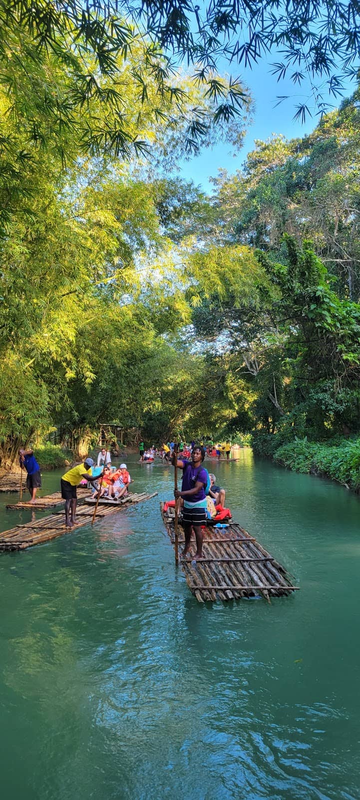 Local Guide's Insights