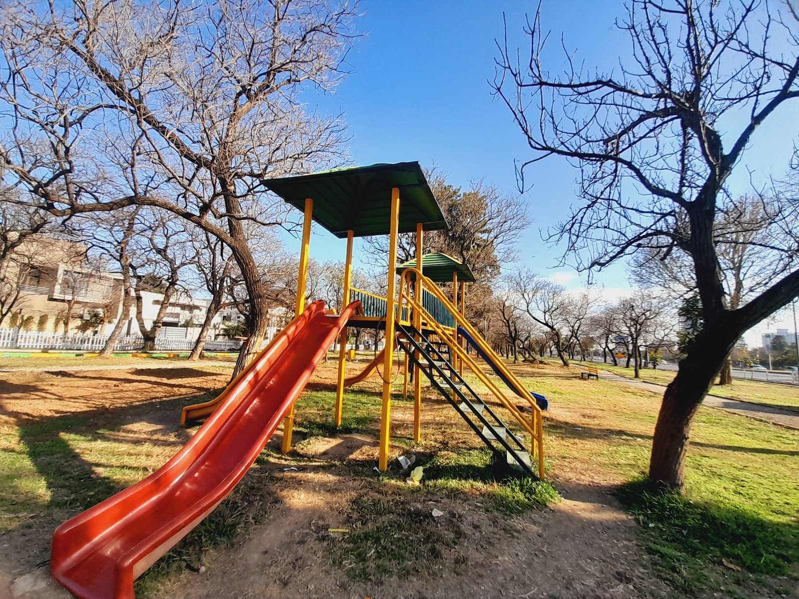 Vertical photo