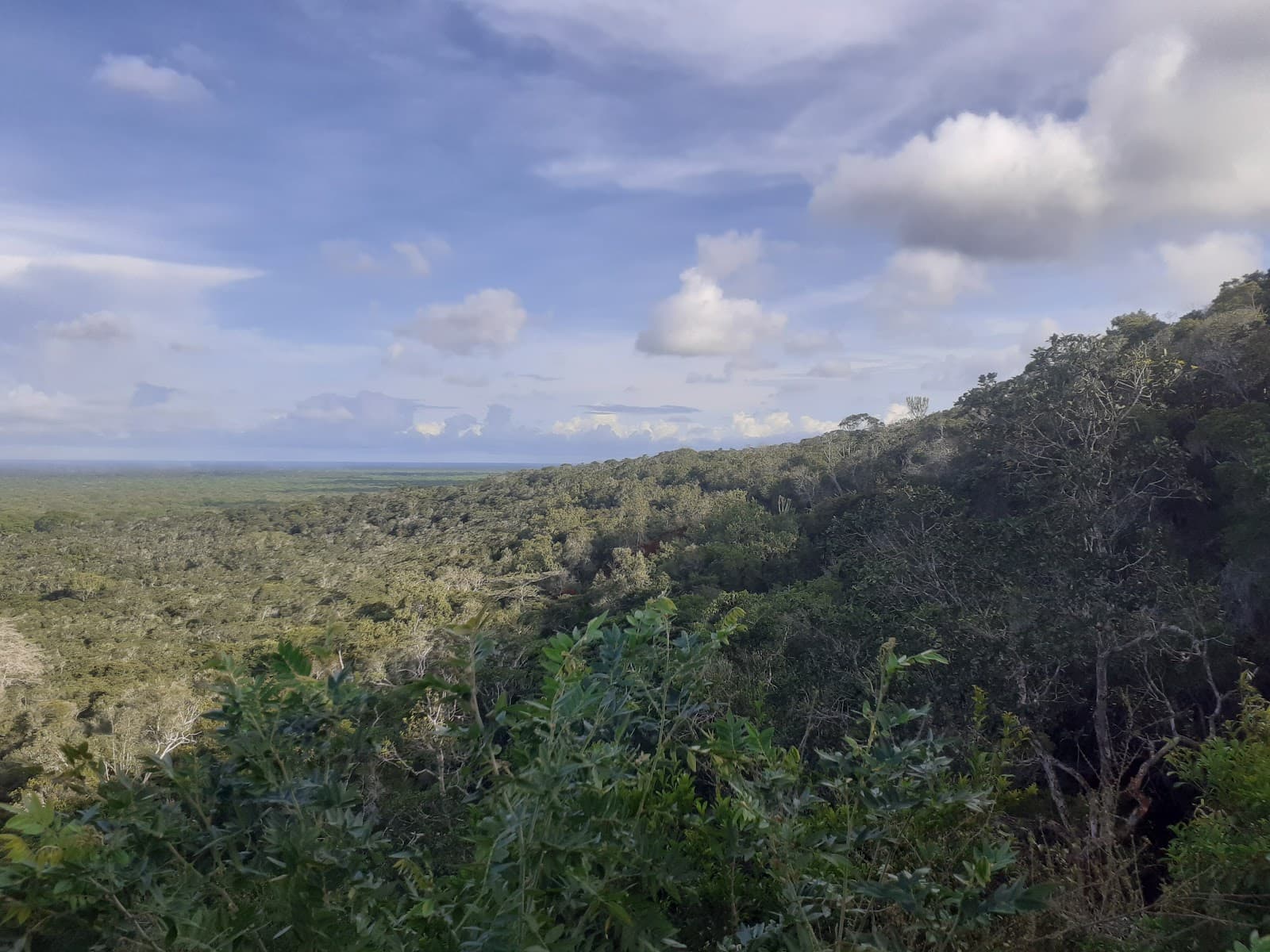 Arabuko Sokoke Forest - Image 1
