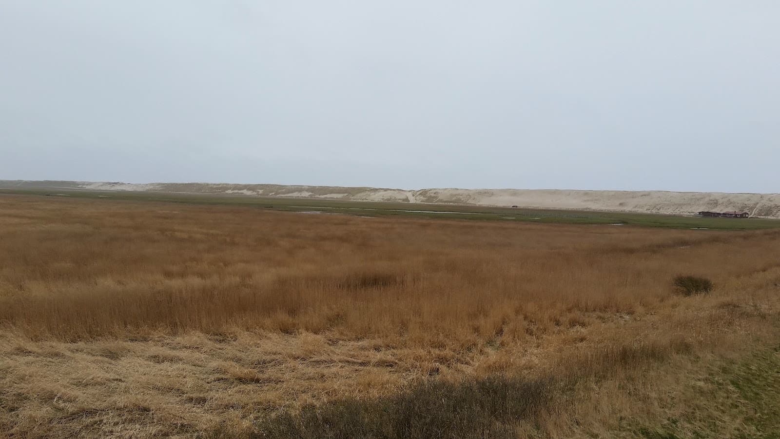 Harboøre Tange - Image 1