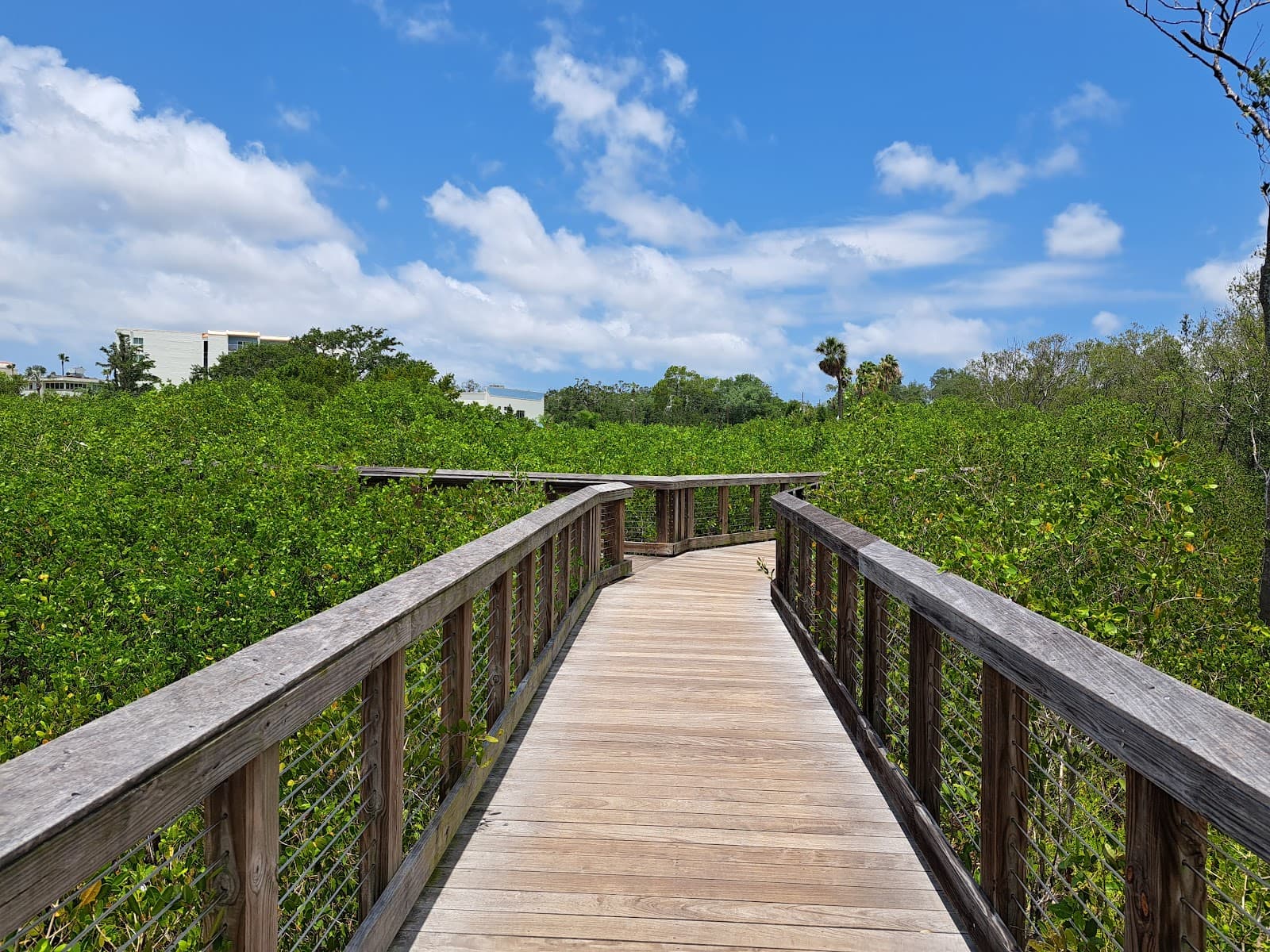 Safety Harbor Boardwalk - Image 1