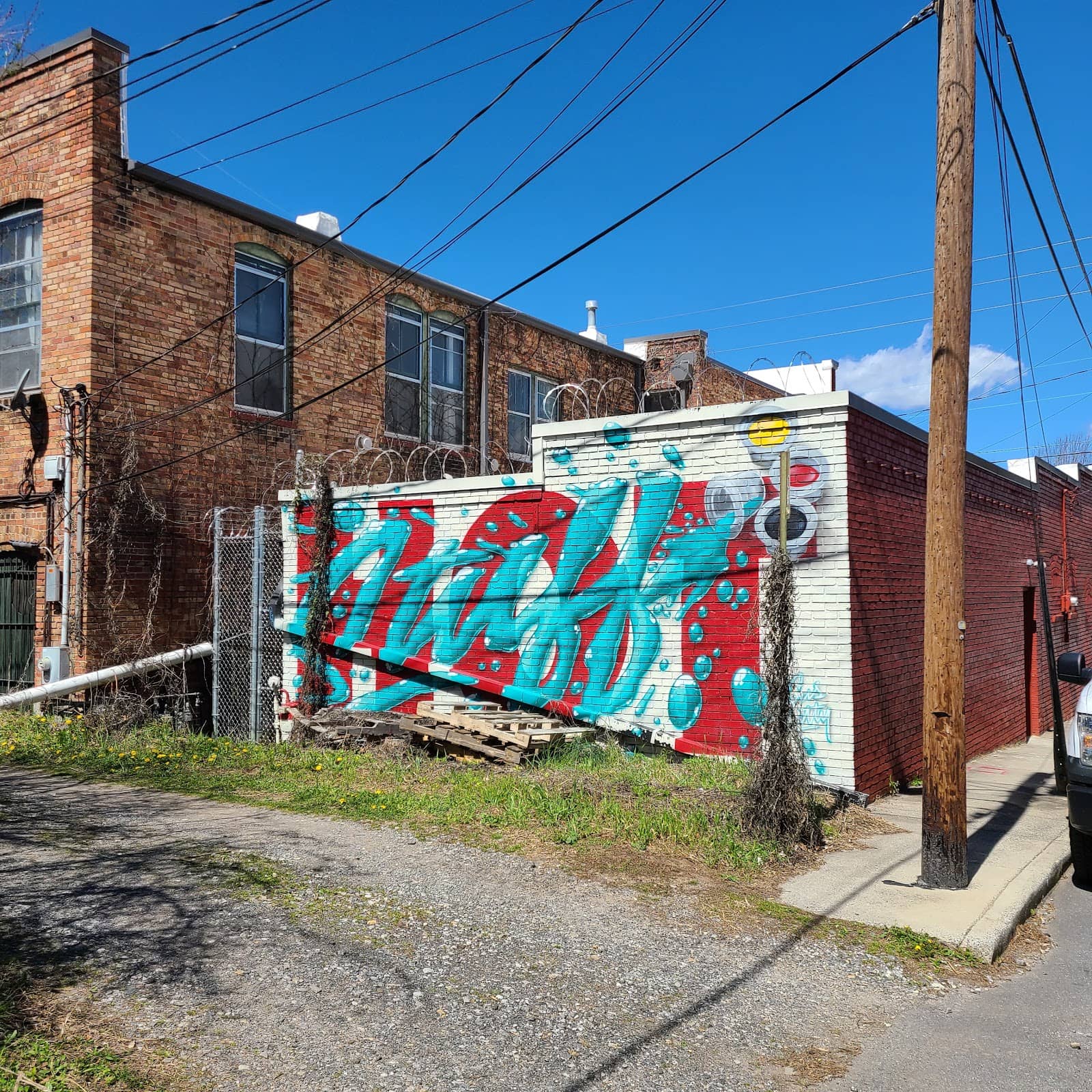 Moo Cookie Co. Delights