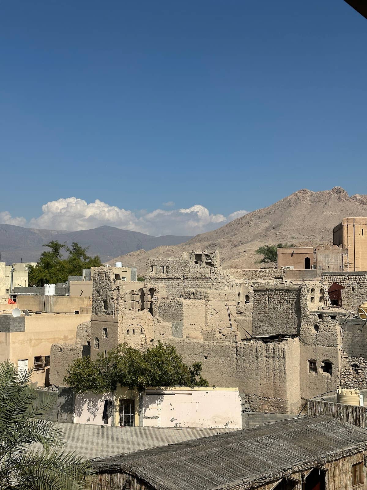 Al Aqr Neighborhood