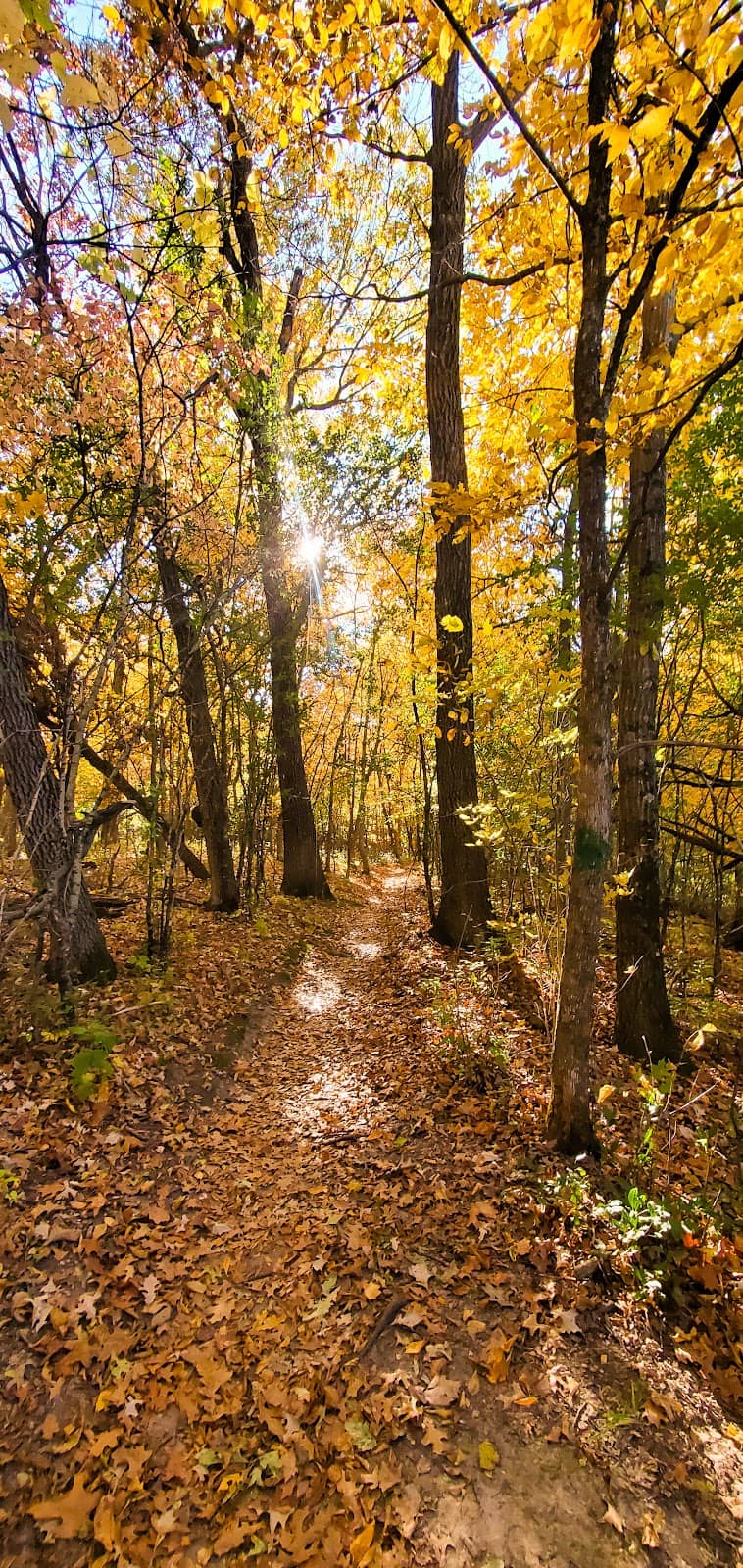 Nature-Filled Gatherings