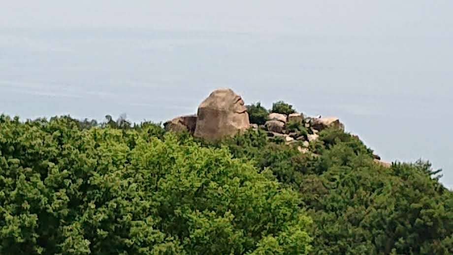 Paraglider Spectacle
