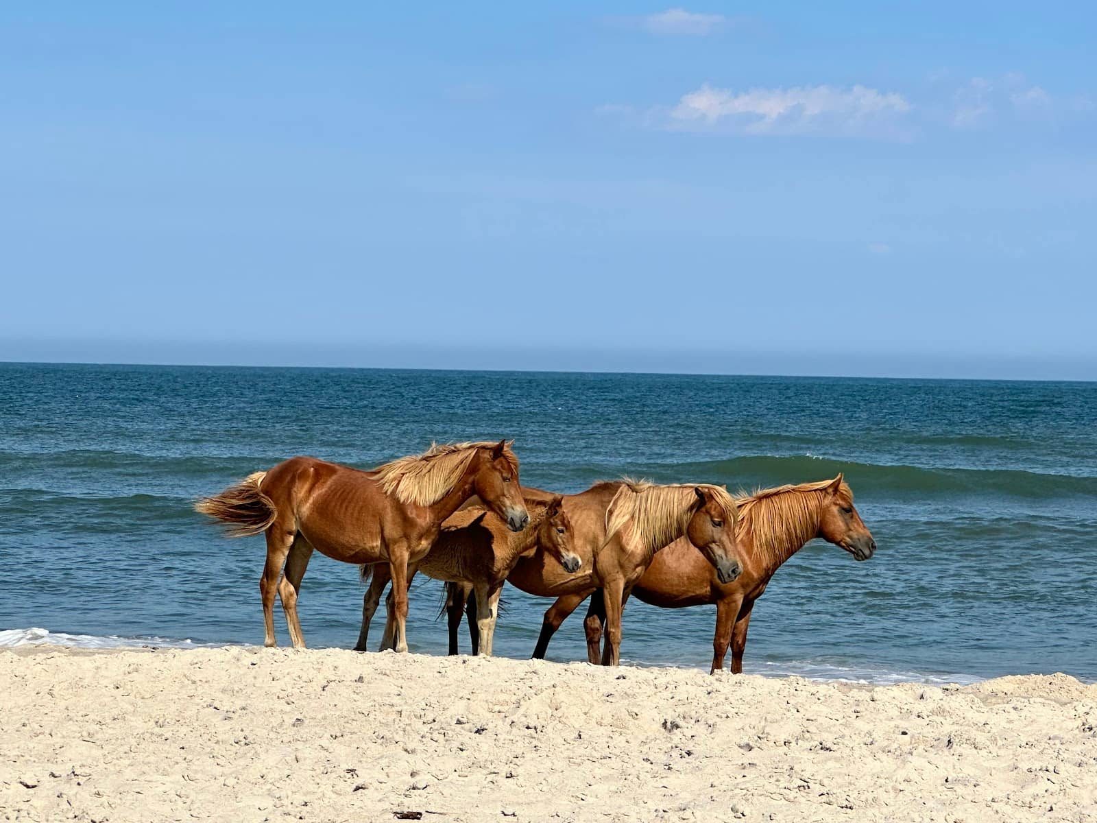 Sunrise & Sunset Views