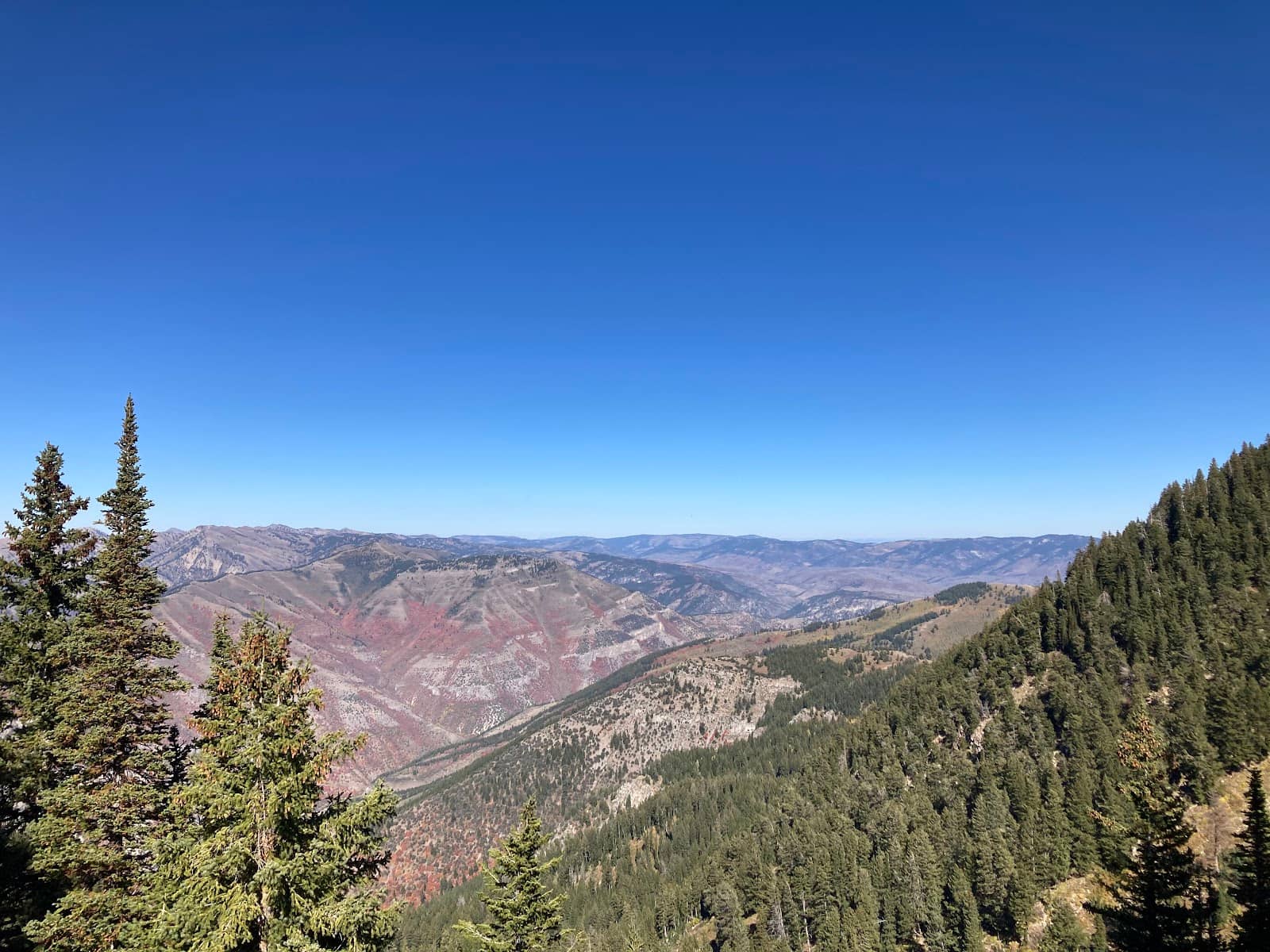 Fall Foliage Spectacle