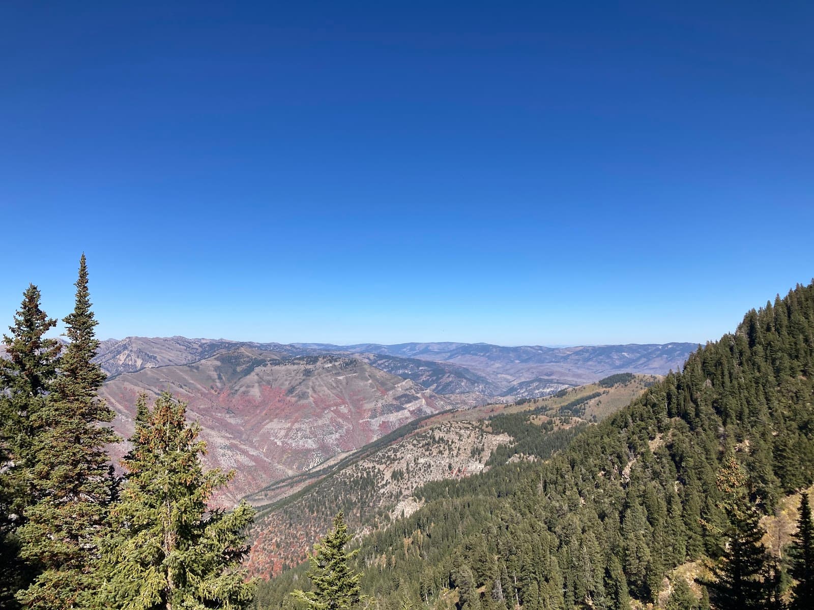 Logan Peak - Image 1