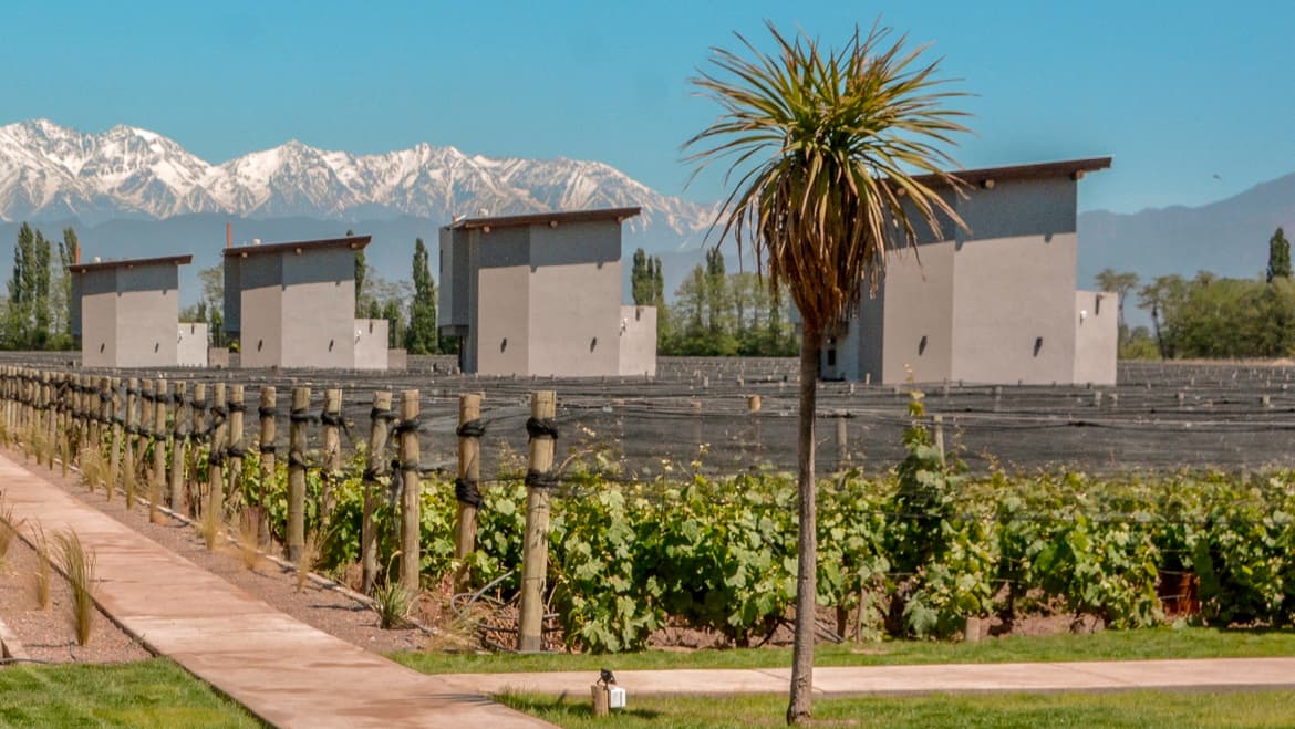 Agrelo wine region Mendoza - Image 1