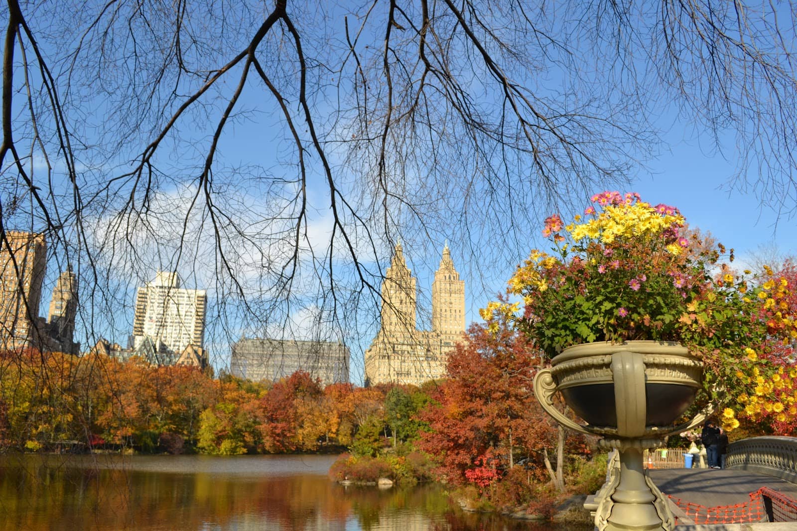 The Lake & Bow Bridge
