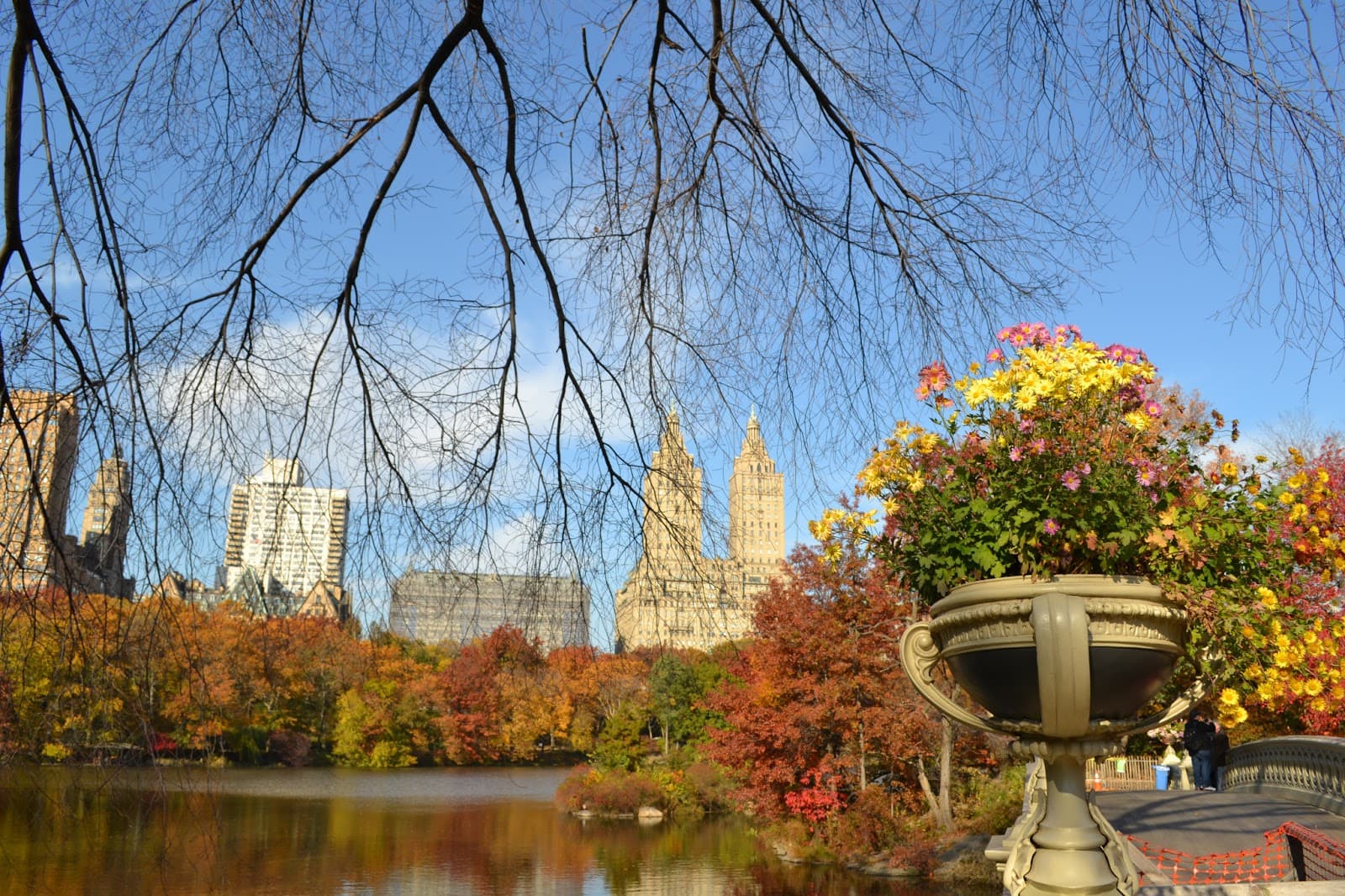 Central Park Bike Tours - Image 1