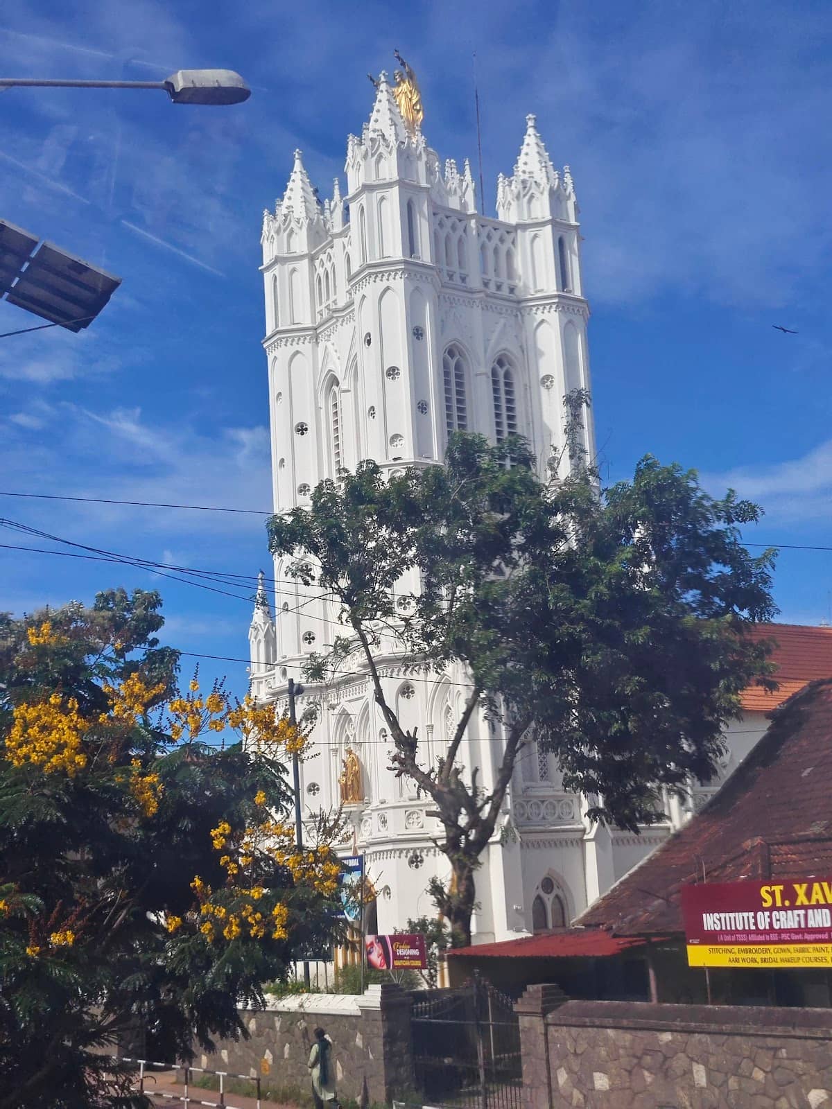 Vertical photo