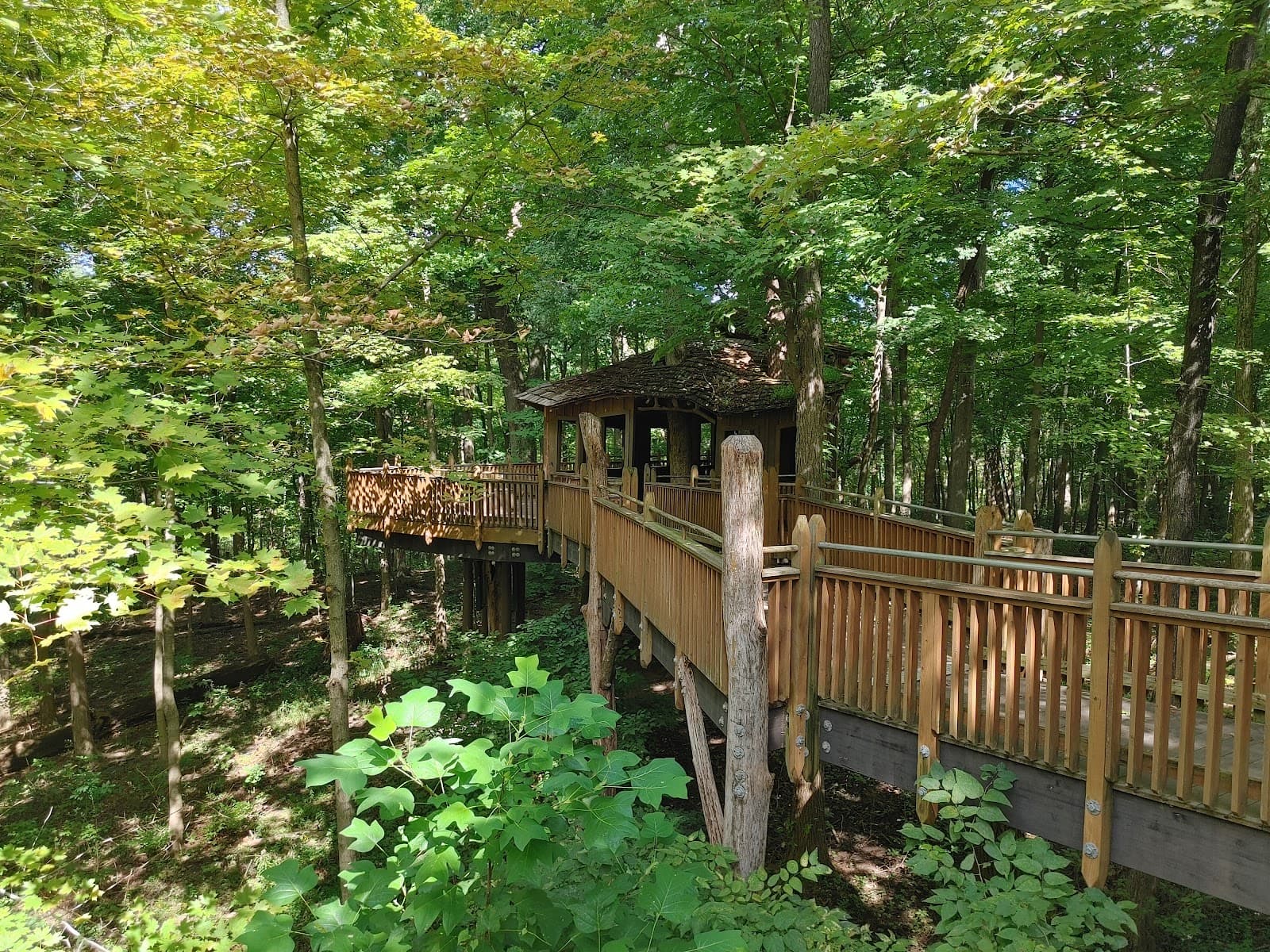 Mount Airy Forest Cincinnati - Image 1