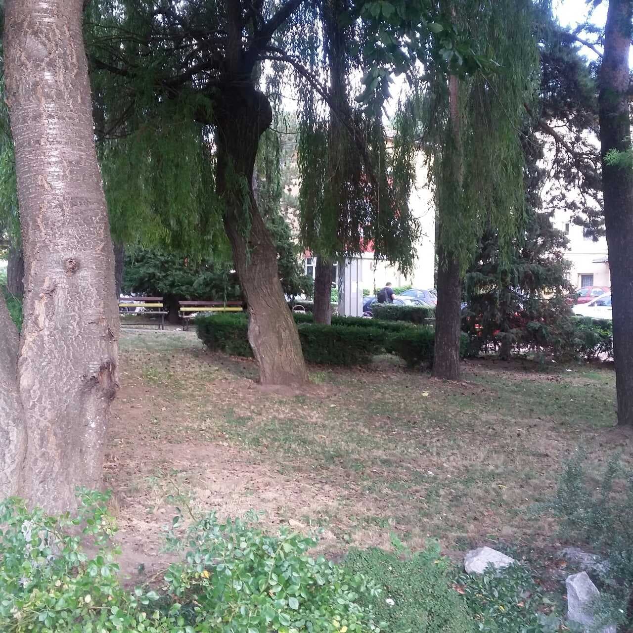 Areni Park - Image 1