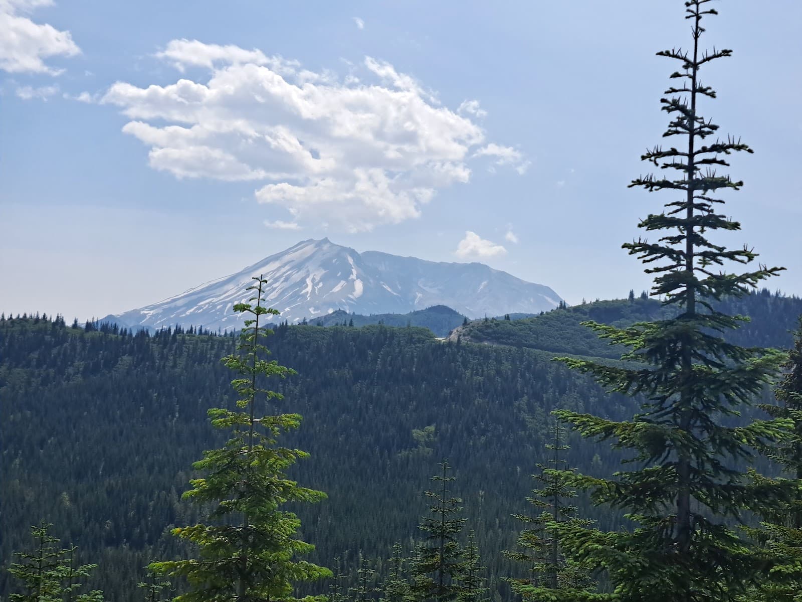 Cascade Peaks Viewpoint Gifford Pinchot National Forest Washington USA - Image 1