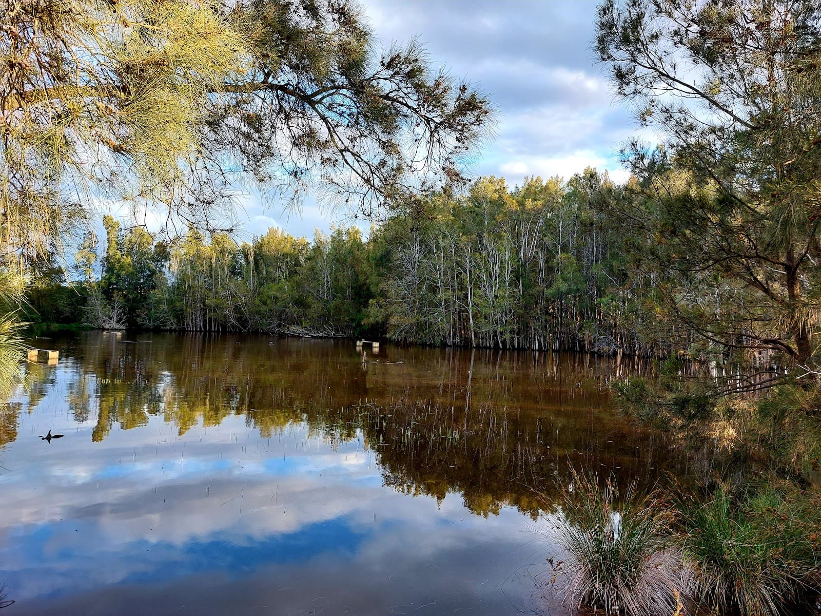 Newington Nature Reserve - Image 1
