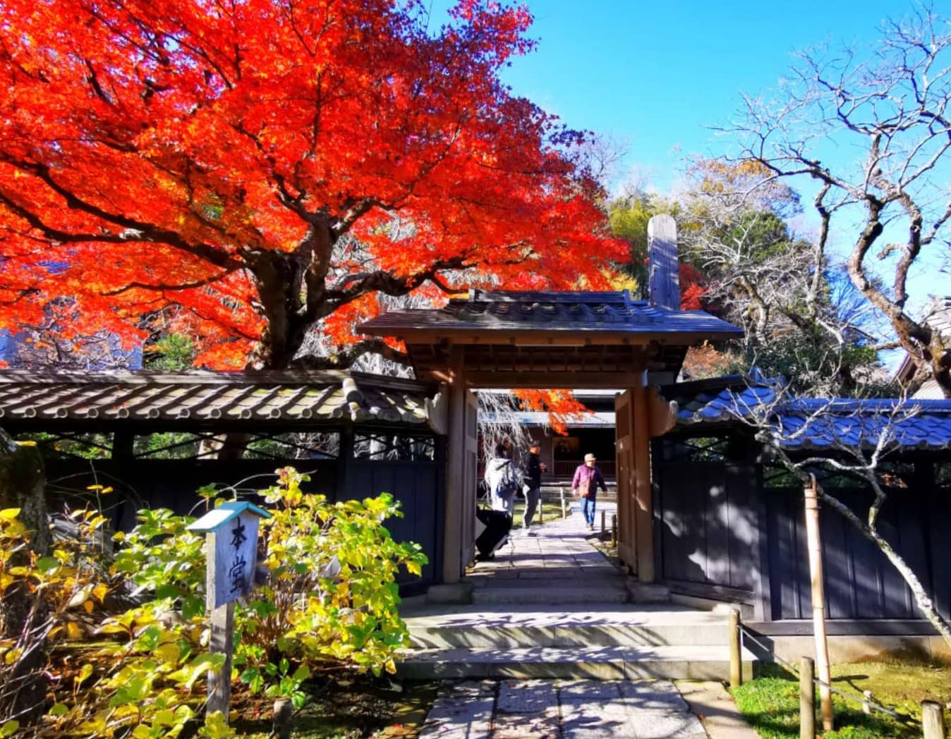 Nunnery's Historical Significance