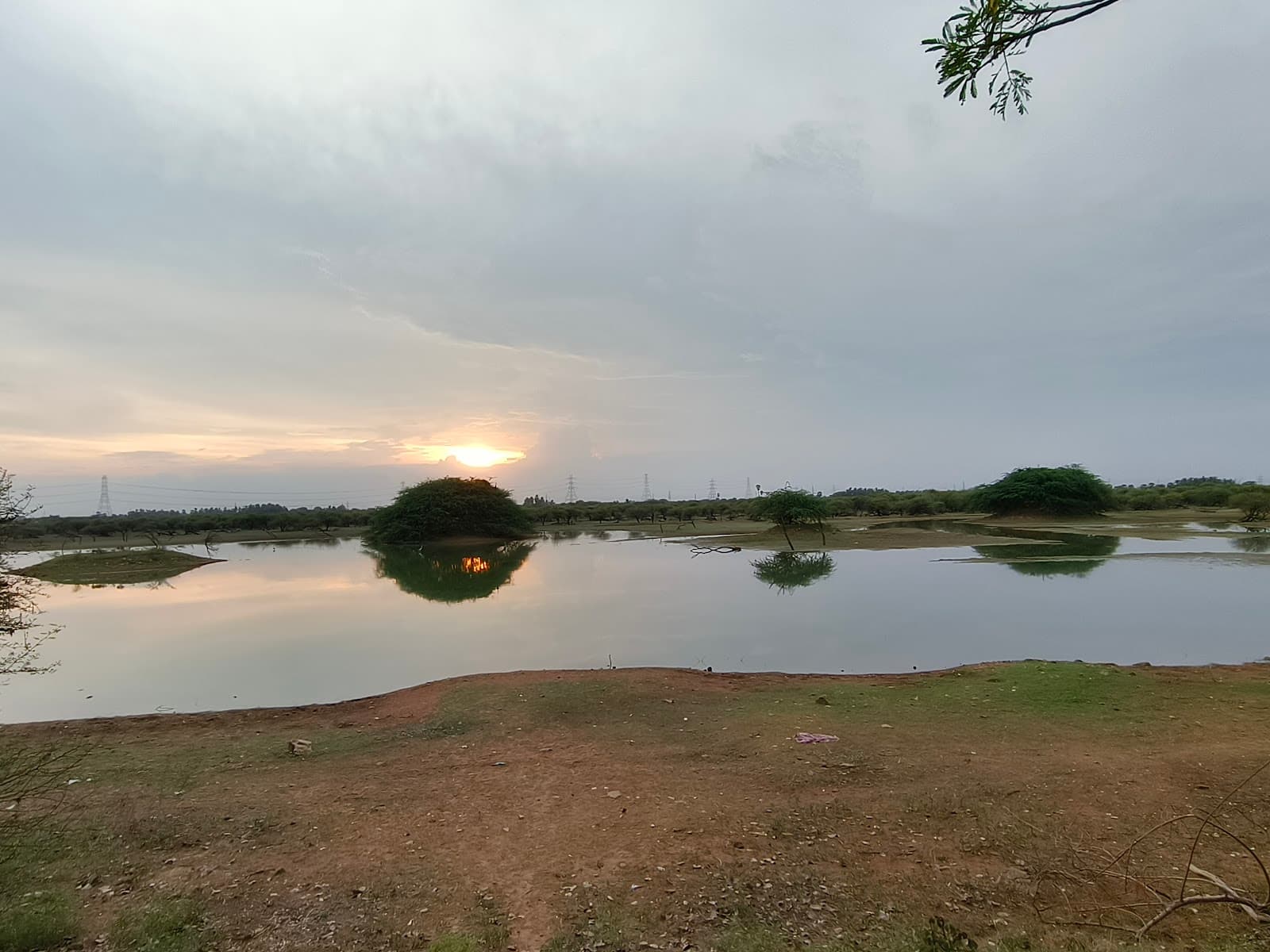 Koonthankulam Bird Sanctuary - Image 1