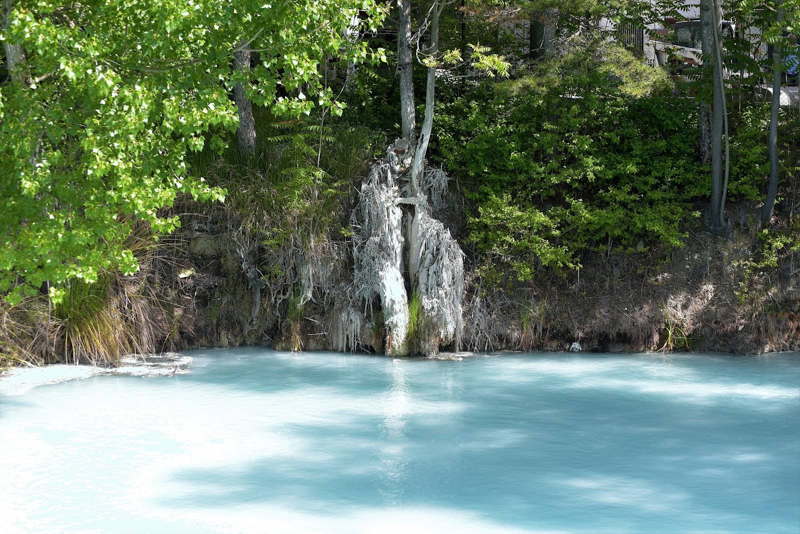 Professional & Friendly Staff