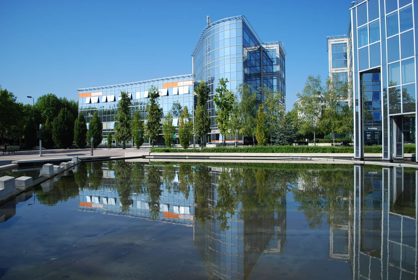 Diverse Business Ecosystem