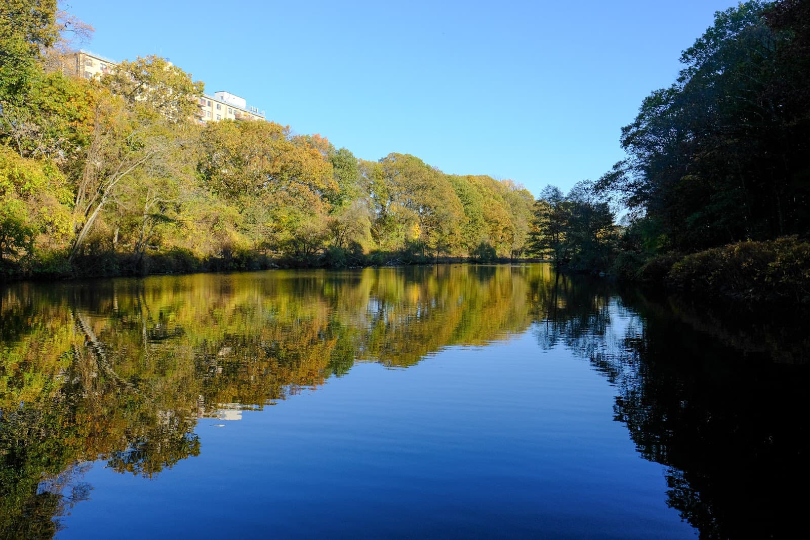 Clove Lakes Park - Image 1
