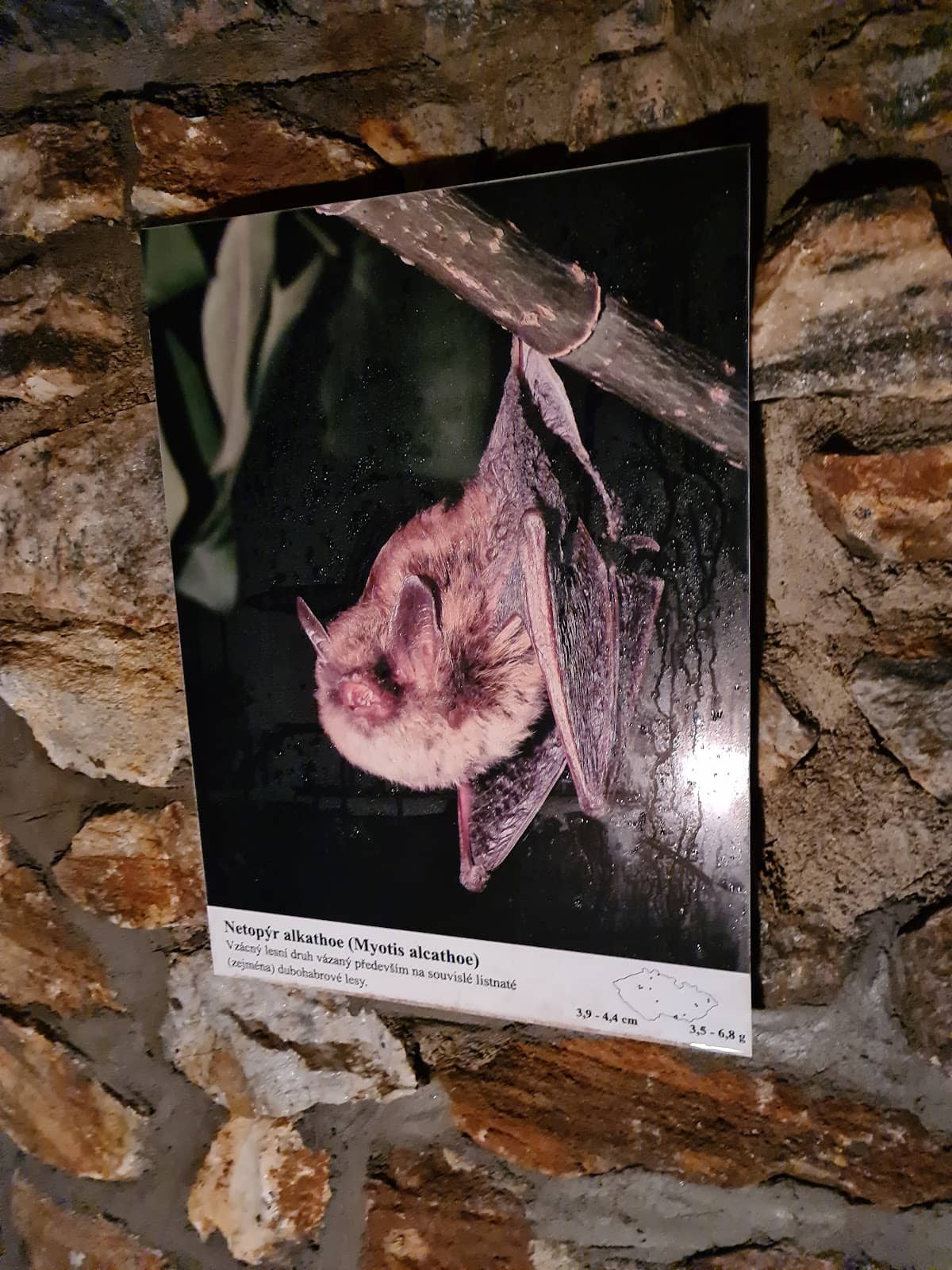 Historic Public Access