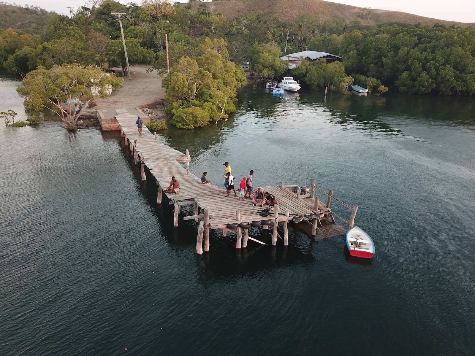 Shellfish & Turtle Spotting