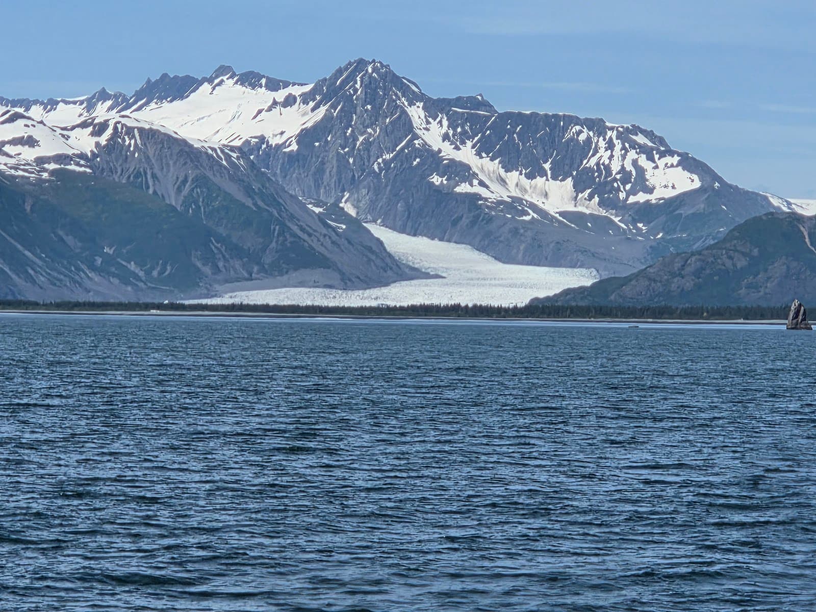 Bear Glacier Seward - Image 1