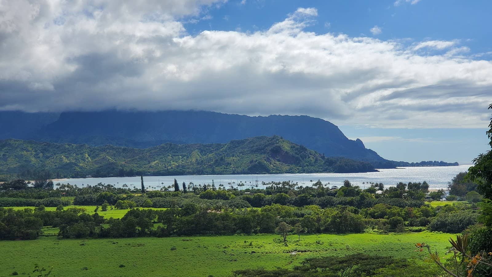 Hanalei Town