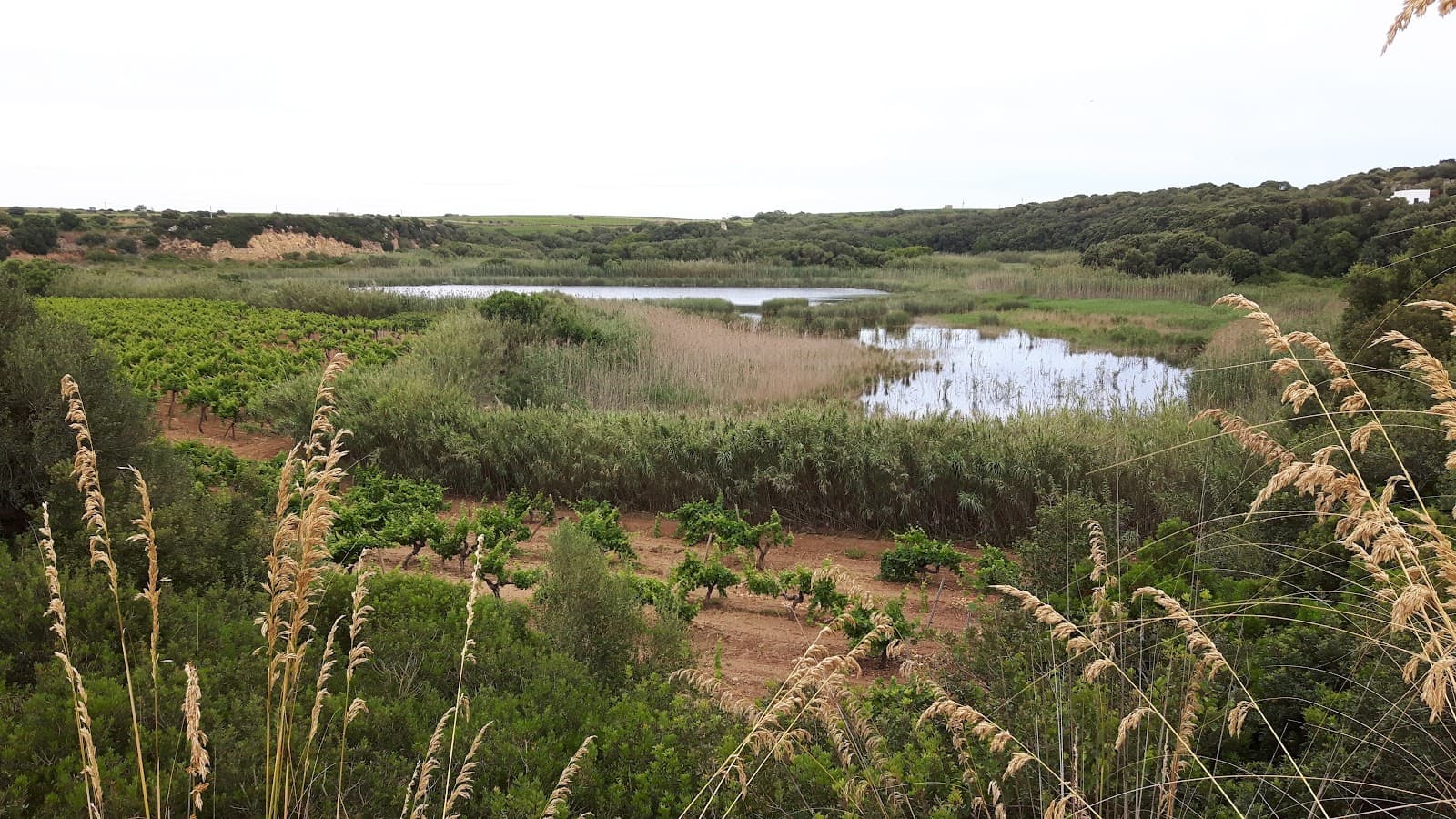 Lago Preola and Gorghi Tondi Nature Reserve - Image 1
