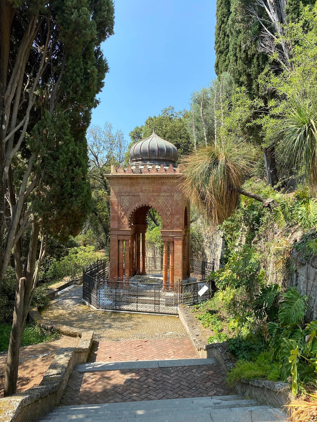 Vertical photo