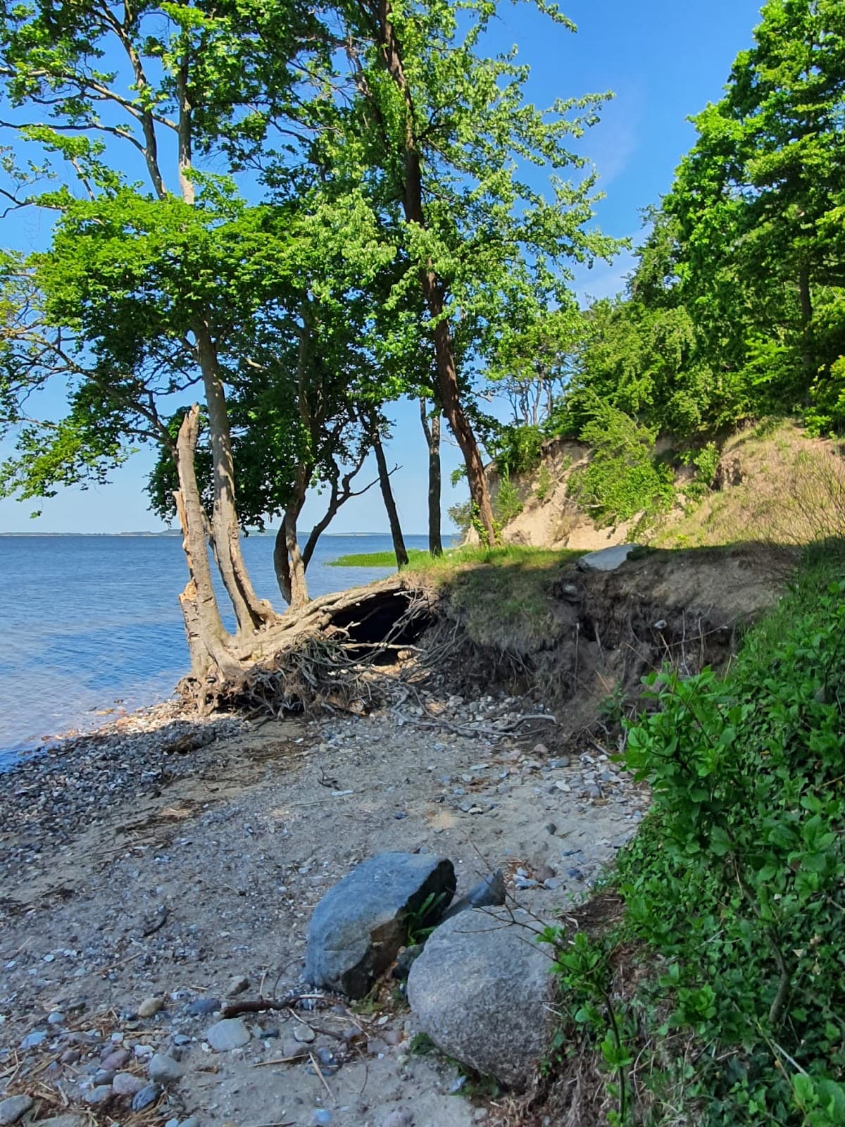 Kleiner Jasmunder Bodden - Image 1