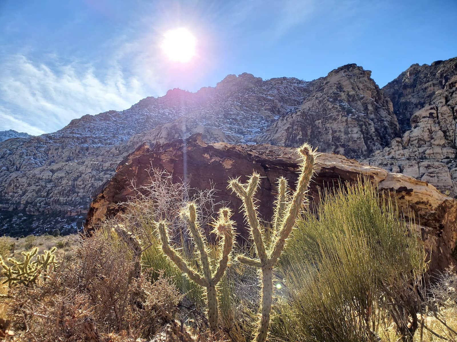 Picnic Under the Desert Sky