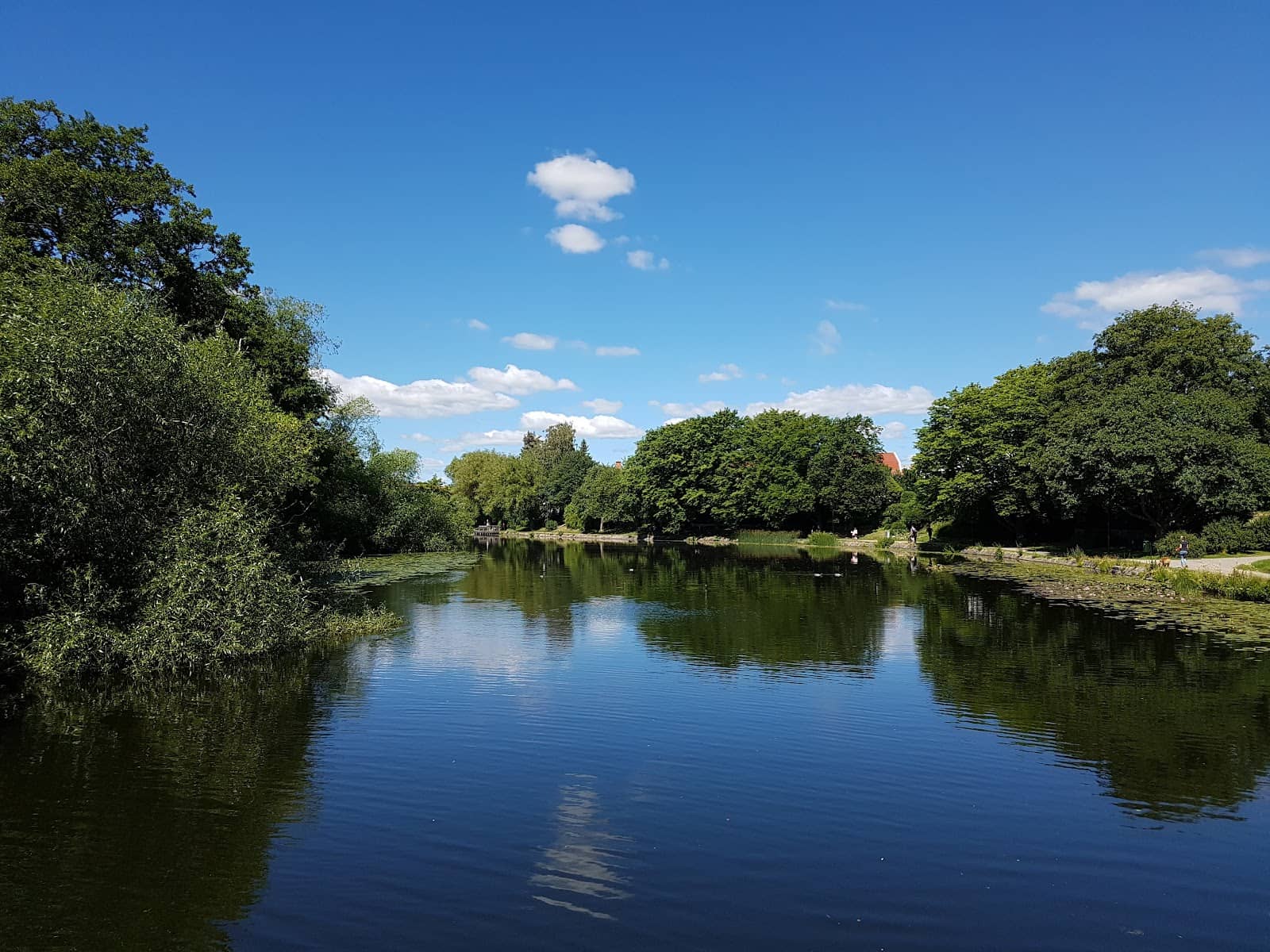 Picnic Spots