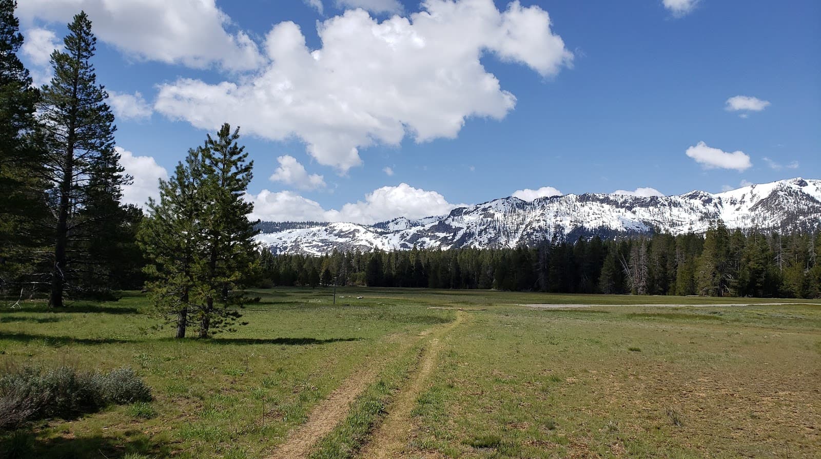 Washoe Meadows State Park - Image 1