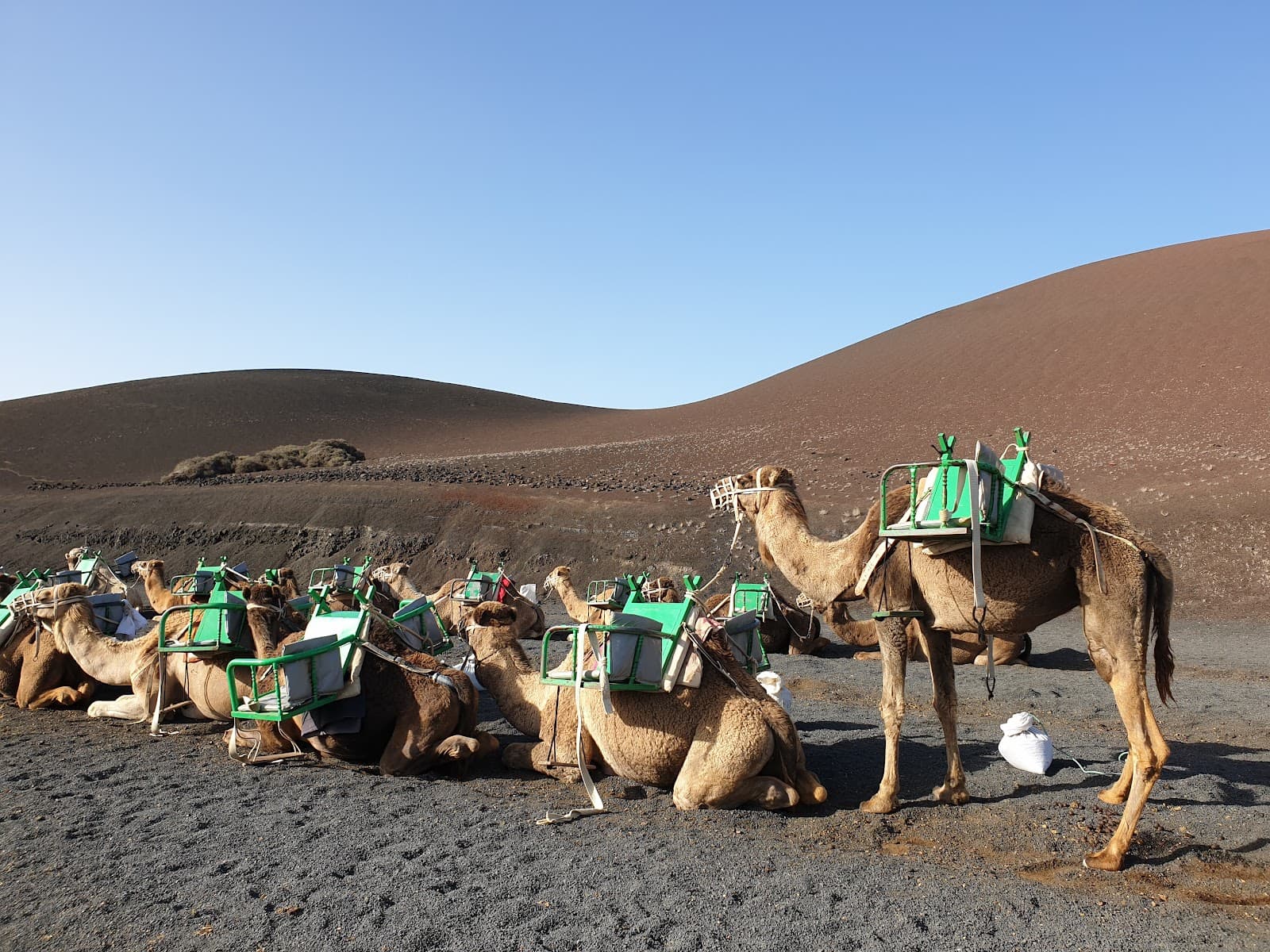 Echadero de Camellos Timanfaya - Image 1