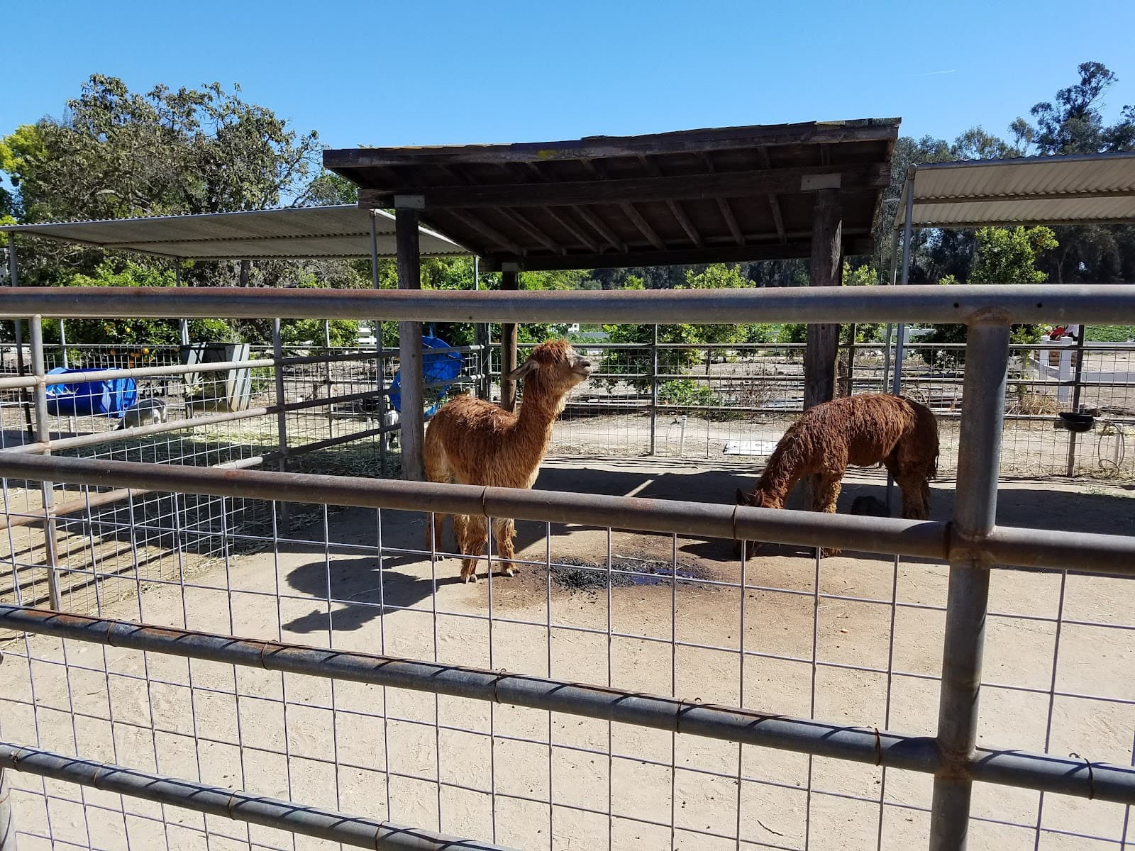 Underwood Family Farms (Somis) - Image 1