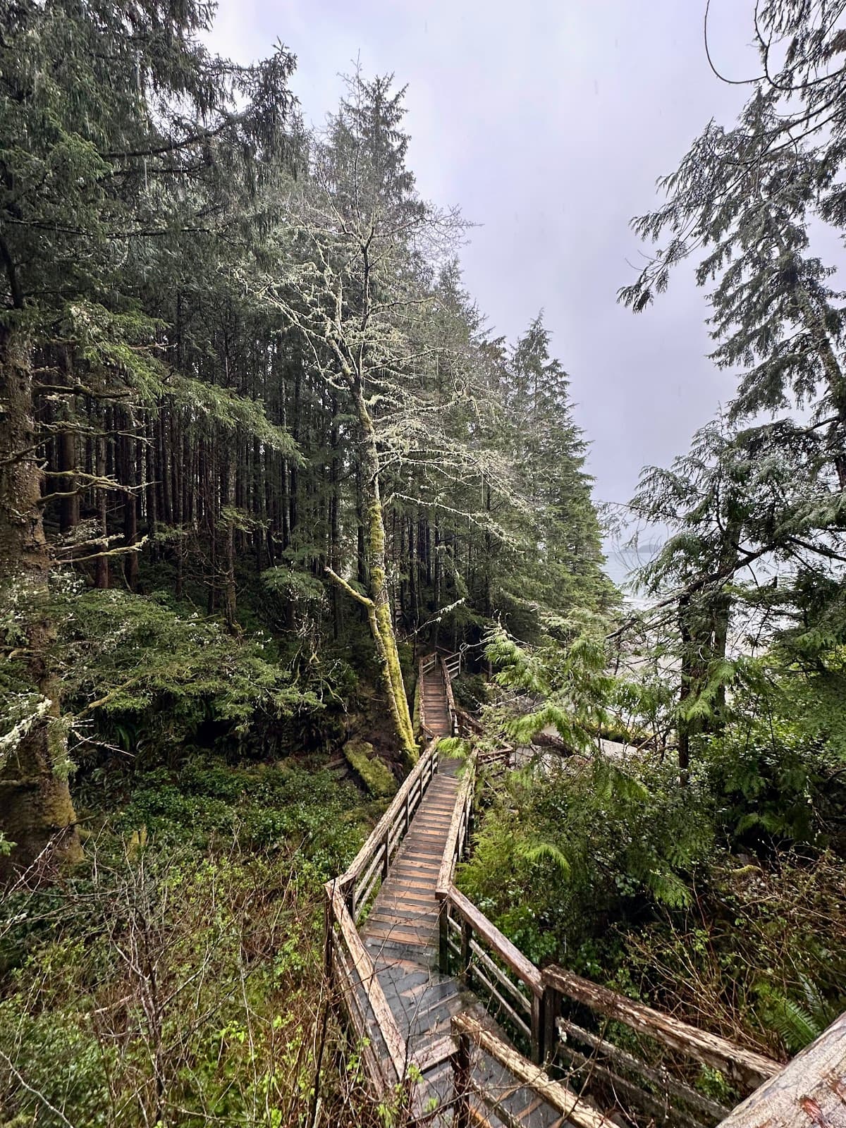 Tonquin Trail - Image 1
