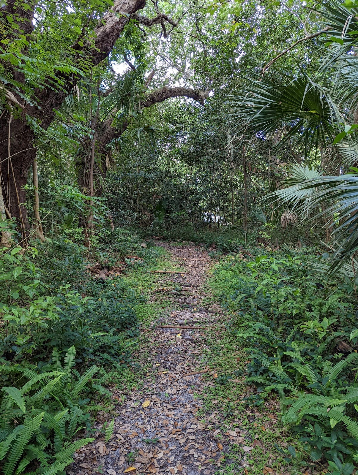 Arch Creek Park & Museum - Image 1