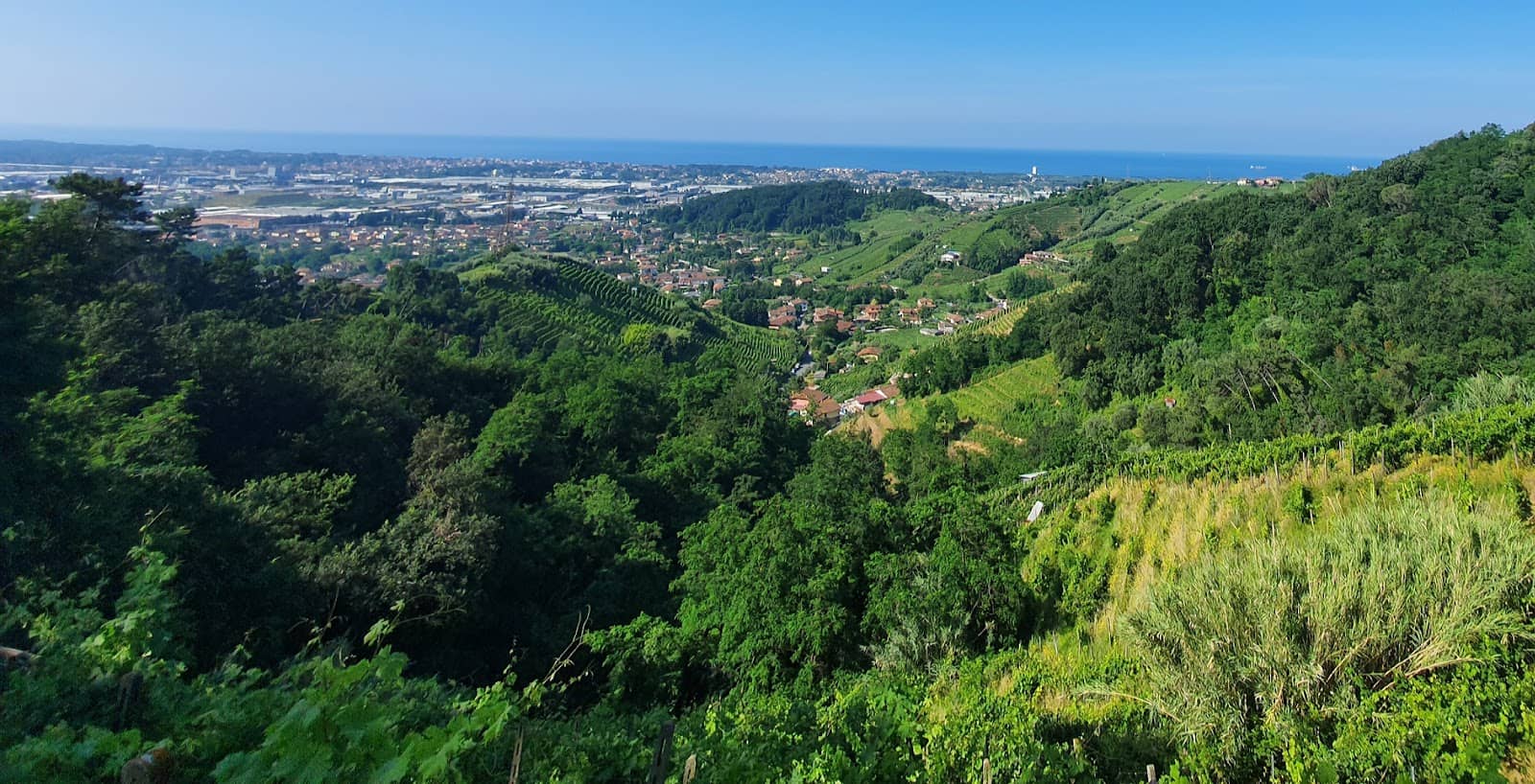 Via Francigena Trail