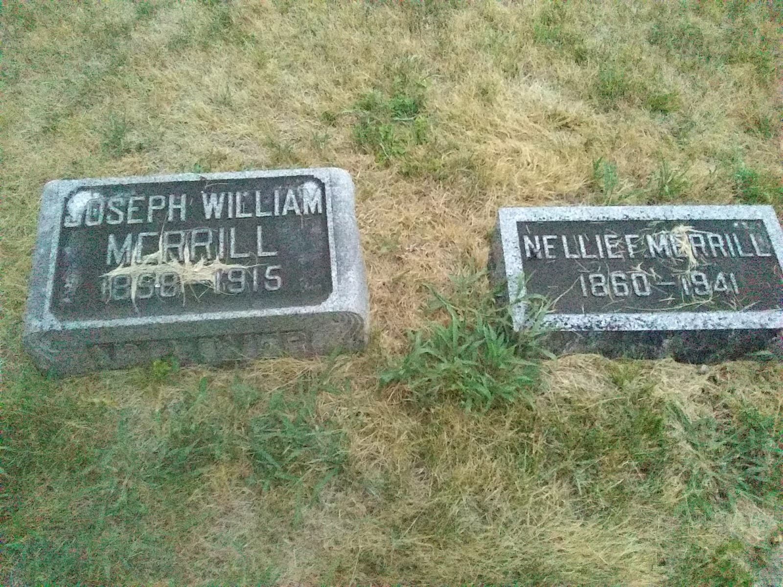 Elmwood Cemetery (Kansas City) - Image 1