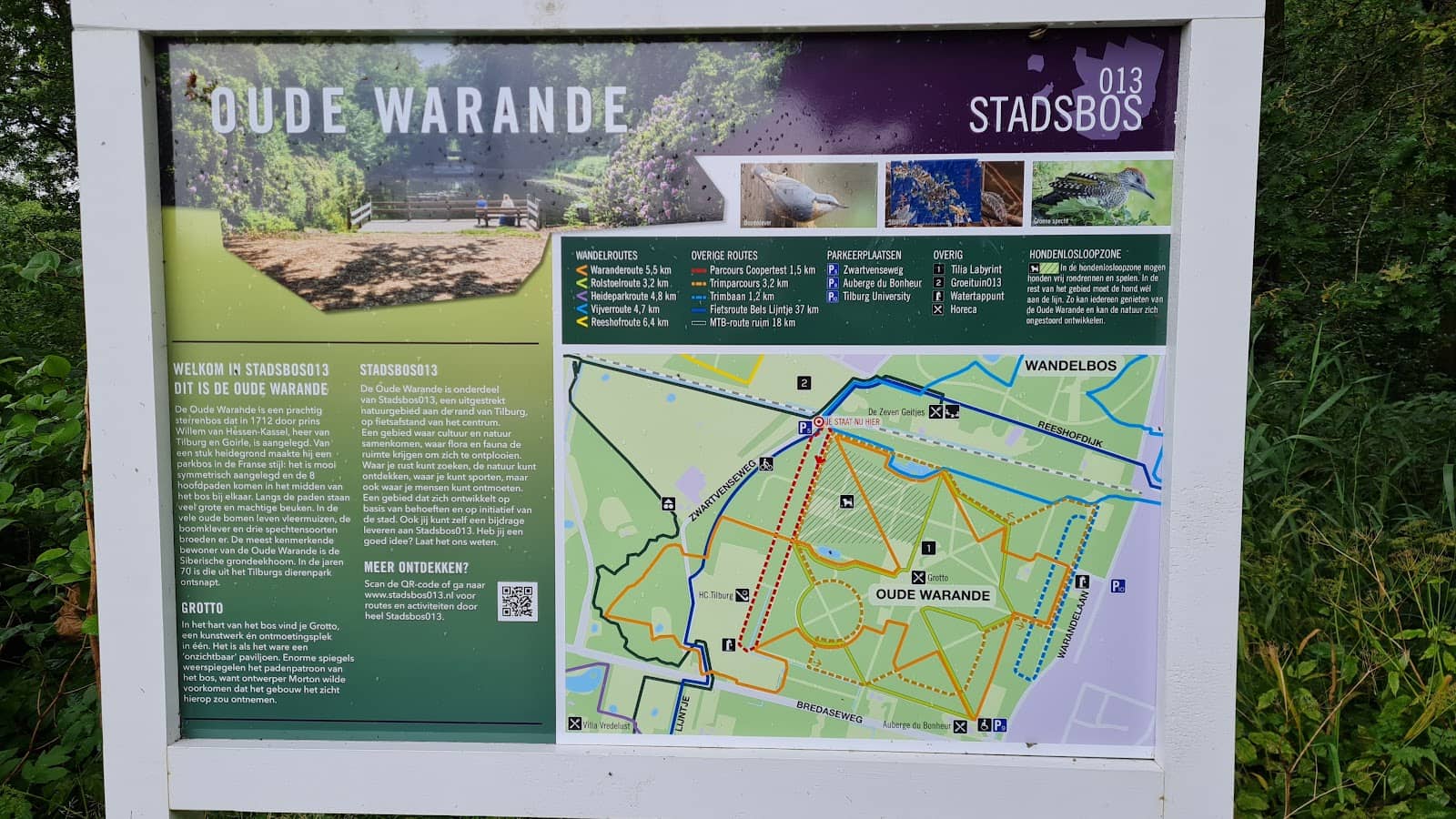 Scenic Walking Trails