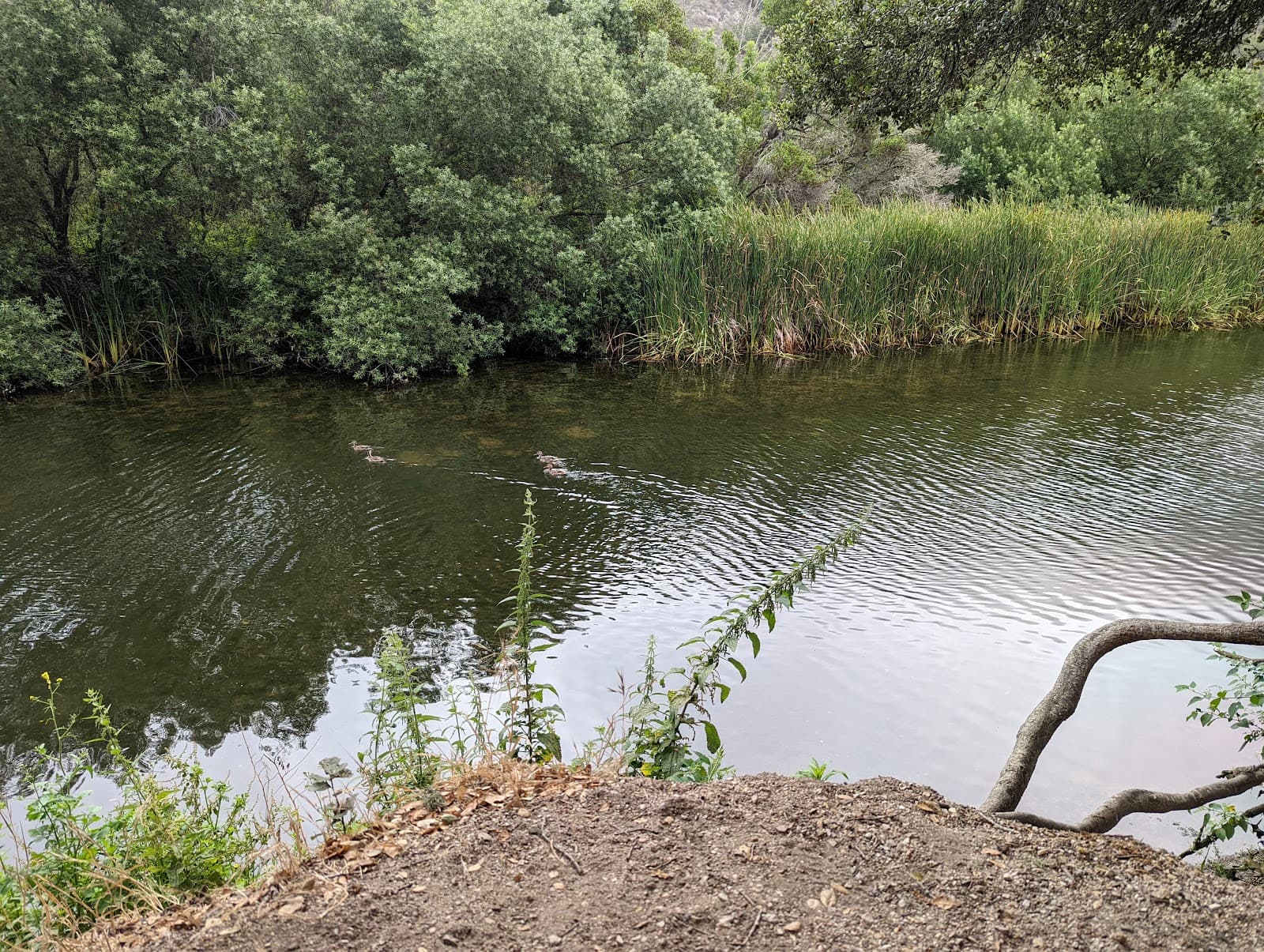 Bob Jones Trail - Image 1